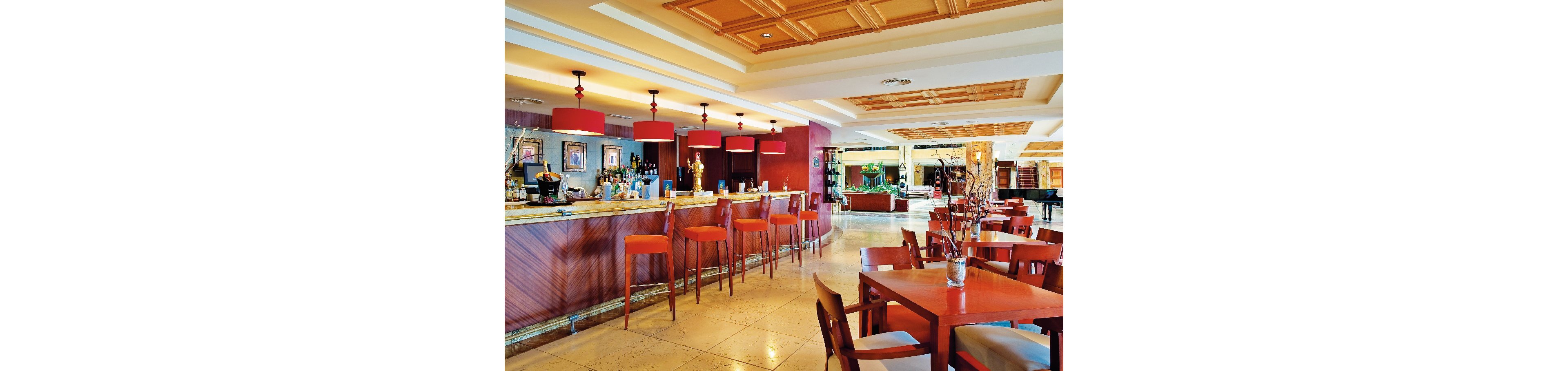 Elba Estepona Gran Hotel & Thalasso Spa