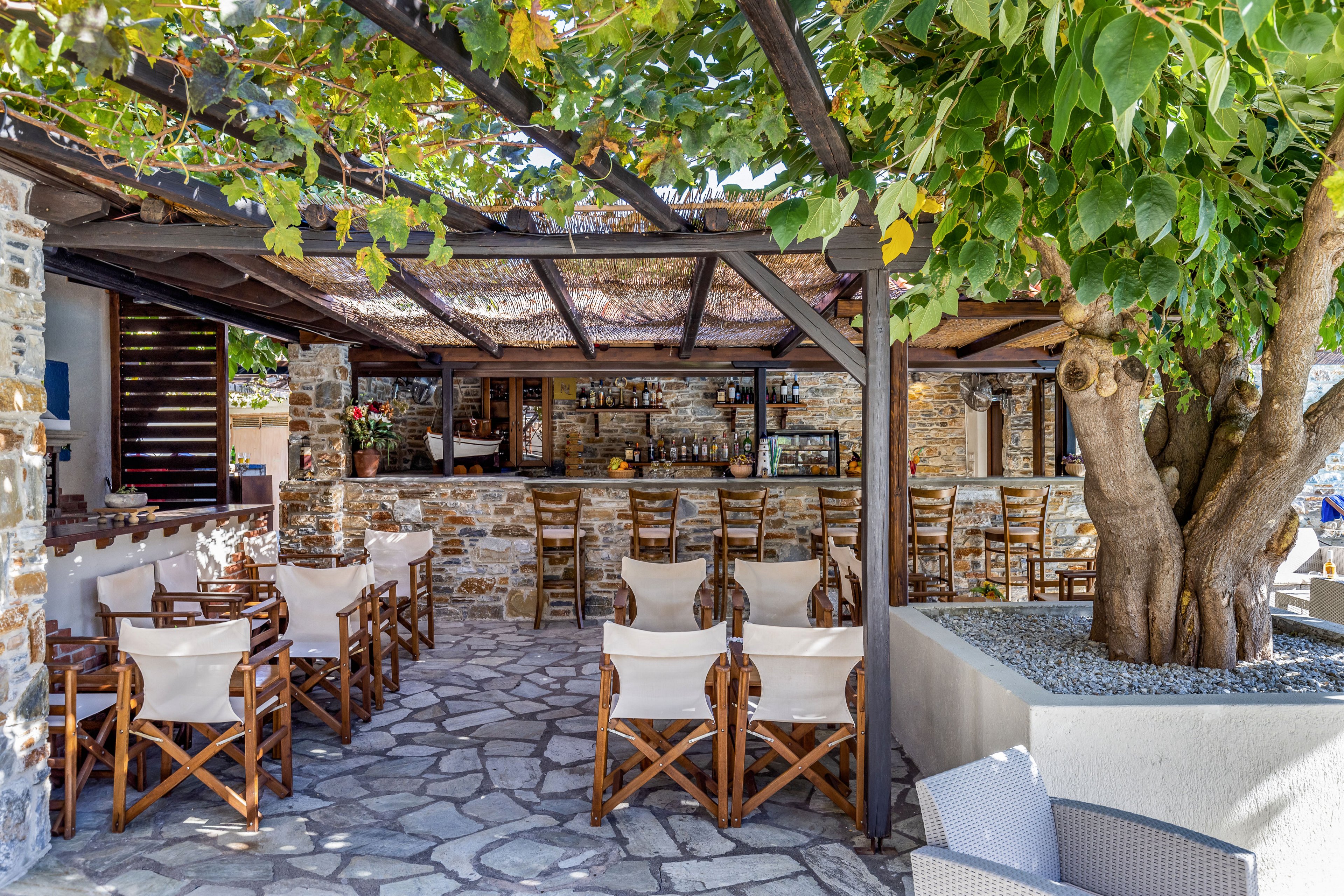 An open-air bar with a stone floor and rustic stone walls is set beneath a wooden pergola covered in leafy vines. Wooden director-style chairs with light fabric seats are arranged around small tables facing the bar counter. The bar shelves are stocked with bottles and glassware, creating a casual yet inviting atmosphere. A large tree grows through a gravel planter beside the seating area, adding natural shade and character to the space. The scene suggests a relaxed, Mediterranean-style outdoor dining or drinking experience.