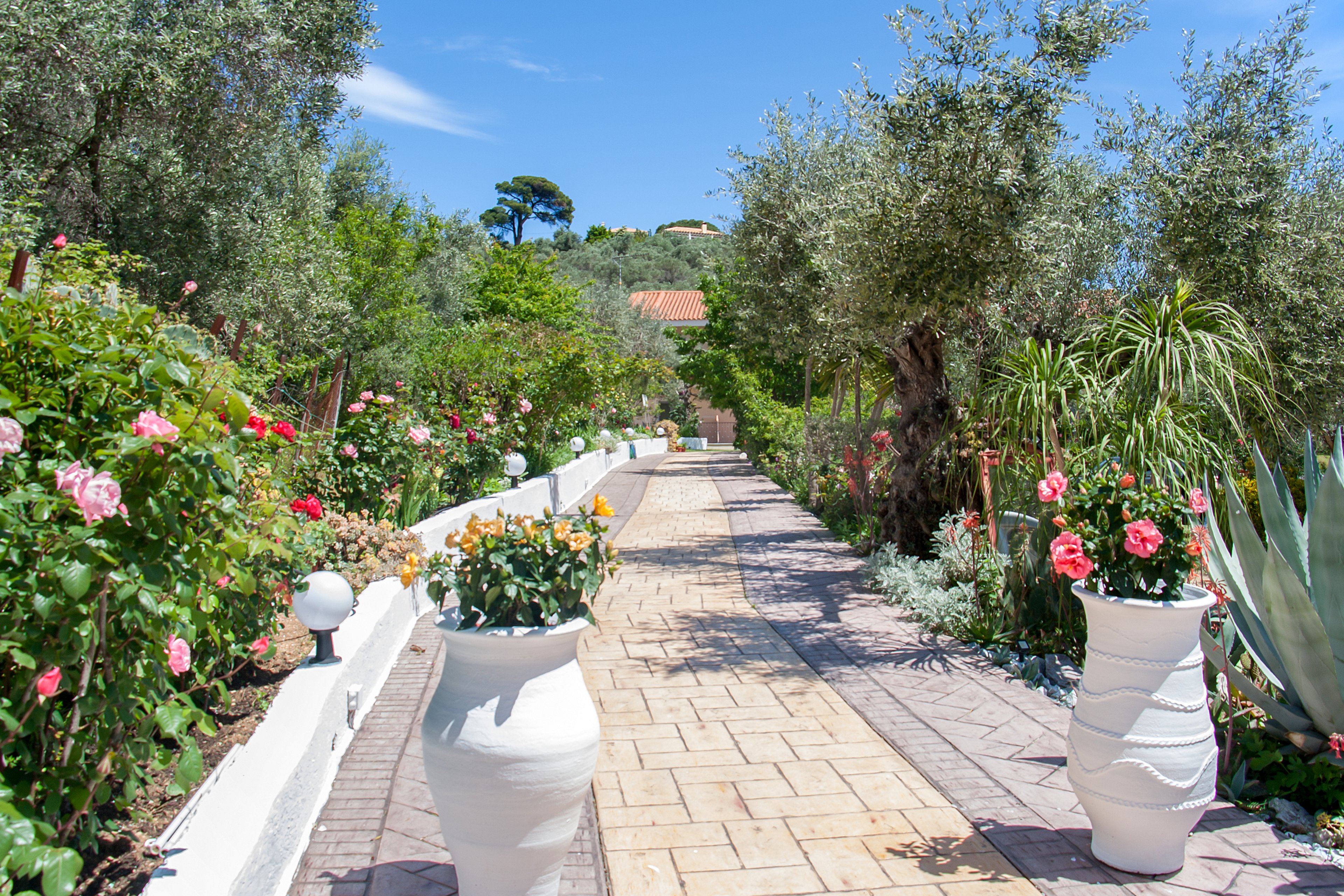 Syraina Studios and Rooms