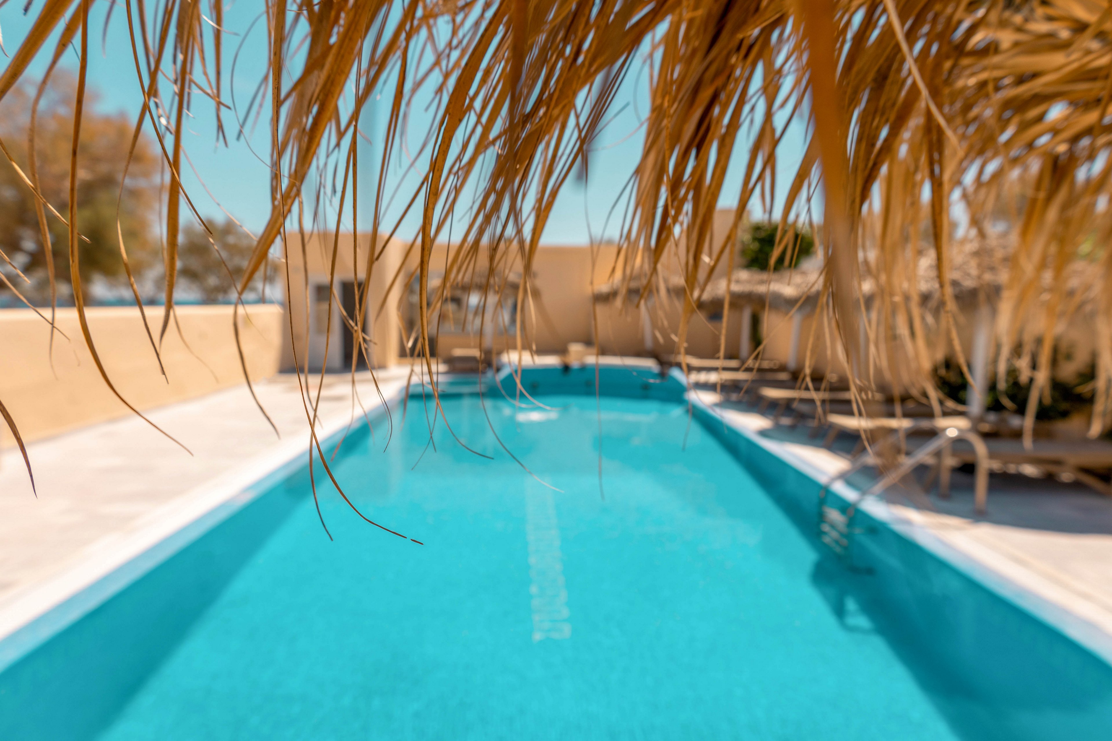 A bright turquoise swimming pool stretches into the distance beneath a clear blue sky. Straw or thatched roofing hangs in the foreground, framing the scene with a tropical feel. Sun loungers line the poolside on a light stone deck, suggesting a relaxing vacation setting. The warm sunlight and soft focus background create a tranquil, summery atmosphere.