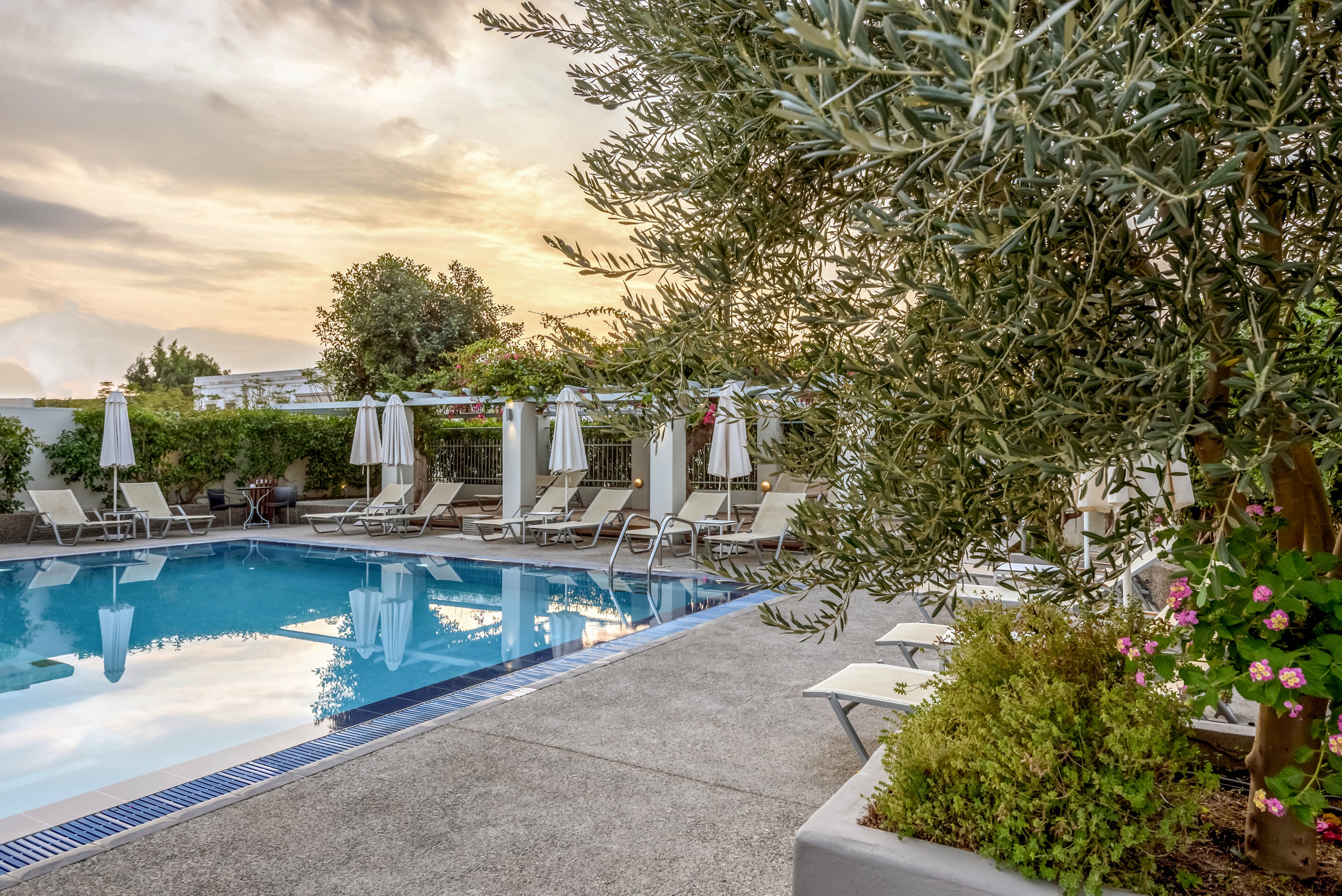 A serene outdoor swimming pool is surrounded by lounge chairs and closed umbrellas in a landscaped hotel courtyard. The calm water reflects the sky and nearby greenery, creating a peaceful atmosphere. Trees, shrubs, and flowering plants frame the pool area, adding natural color and texture. Soft evening light and a pastel sky suggest a relaxing vacation or resort setting.