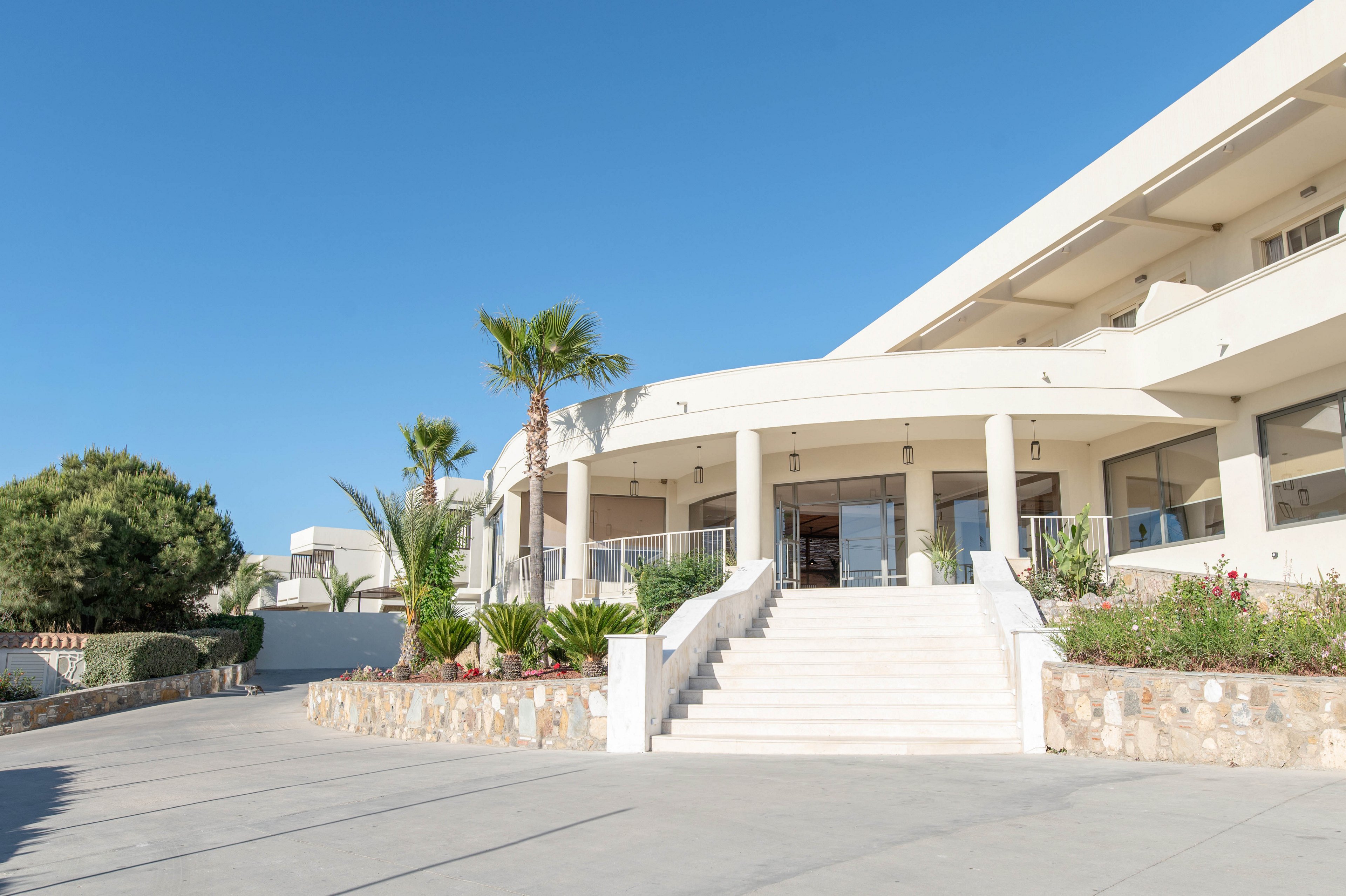 A modern white resort-style building is shown under a clear blue sky. Wide steps lead up to the main entrance, framed by glass railings and large windows. Palm trees and manicured shrubs line the stone retaining walls along the driveway. The bright sunlight and clean architectural lines create a calm, vacation-like atmosphere.