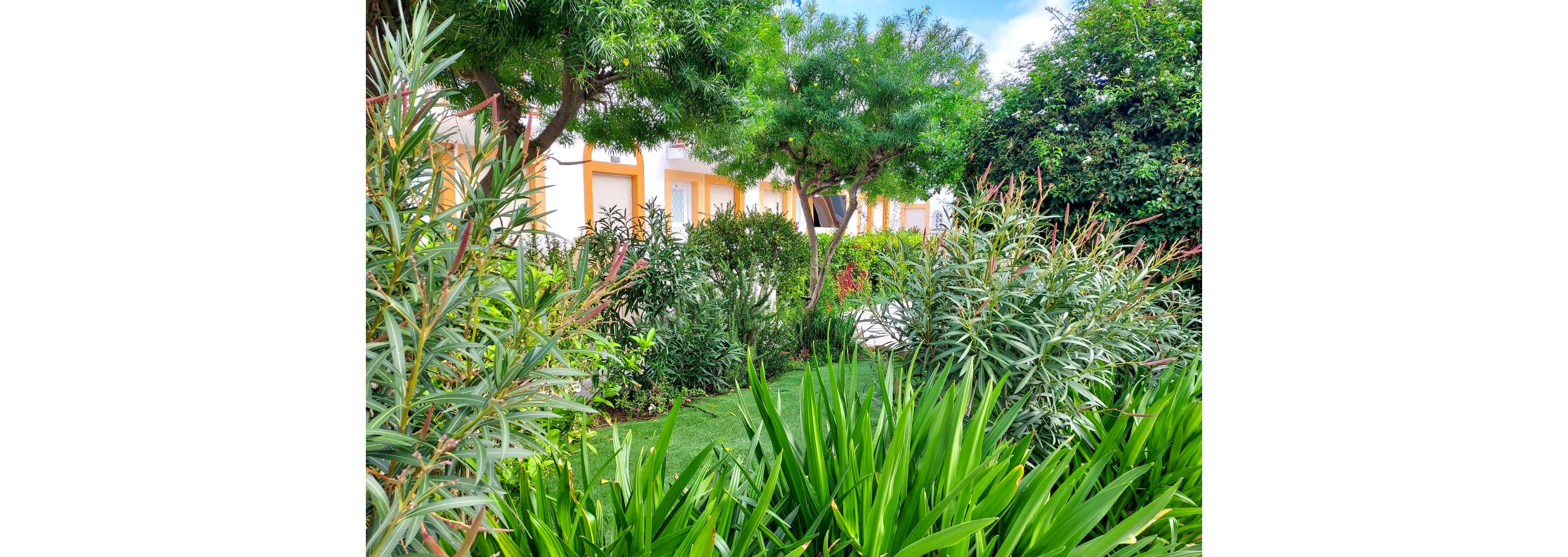 Katerina Studios and Apartments