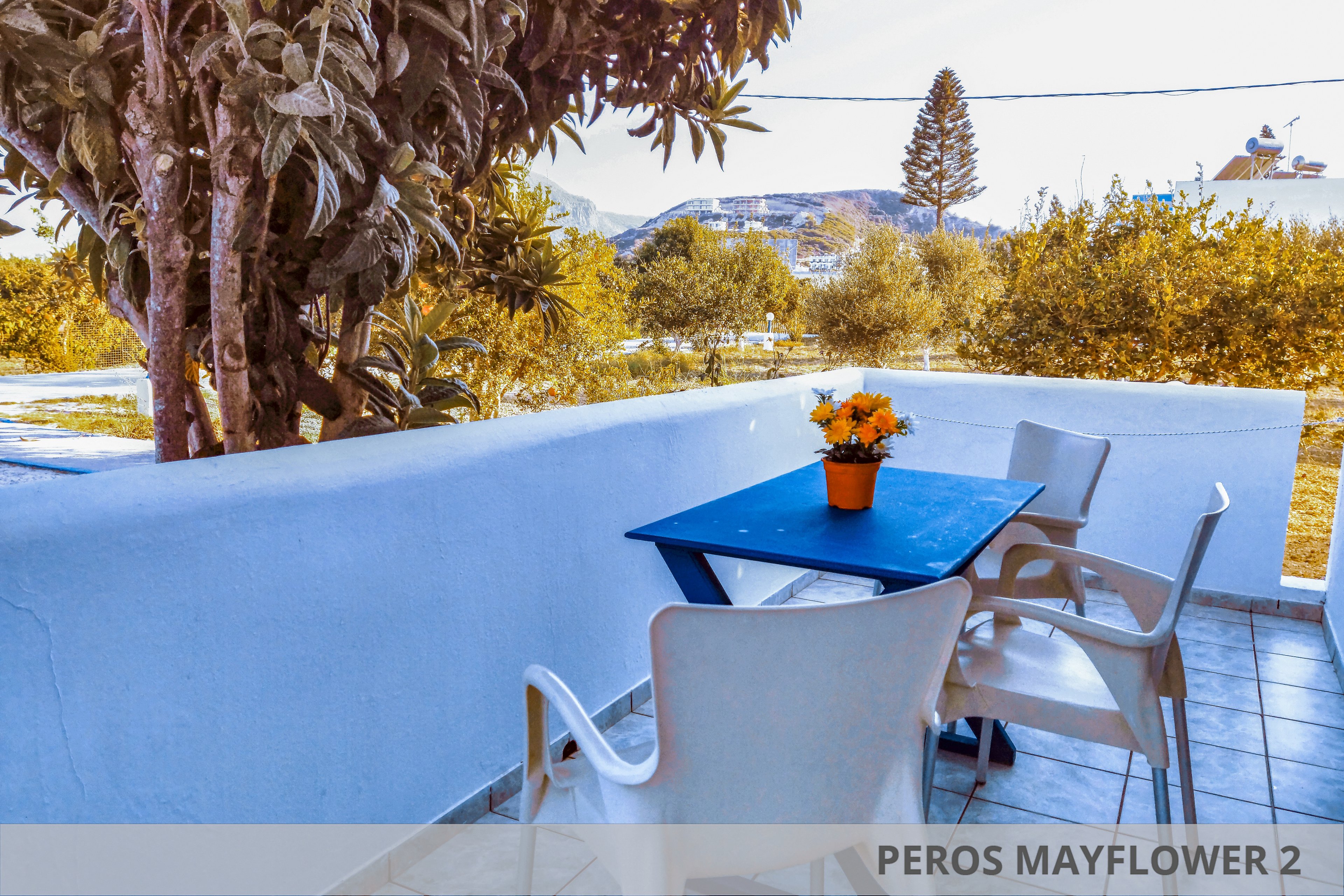 Peros Mayflower Family Studios