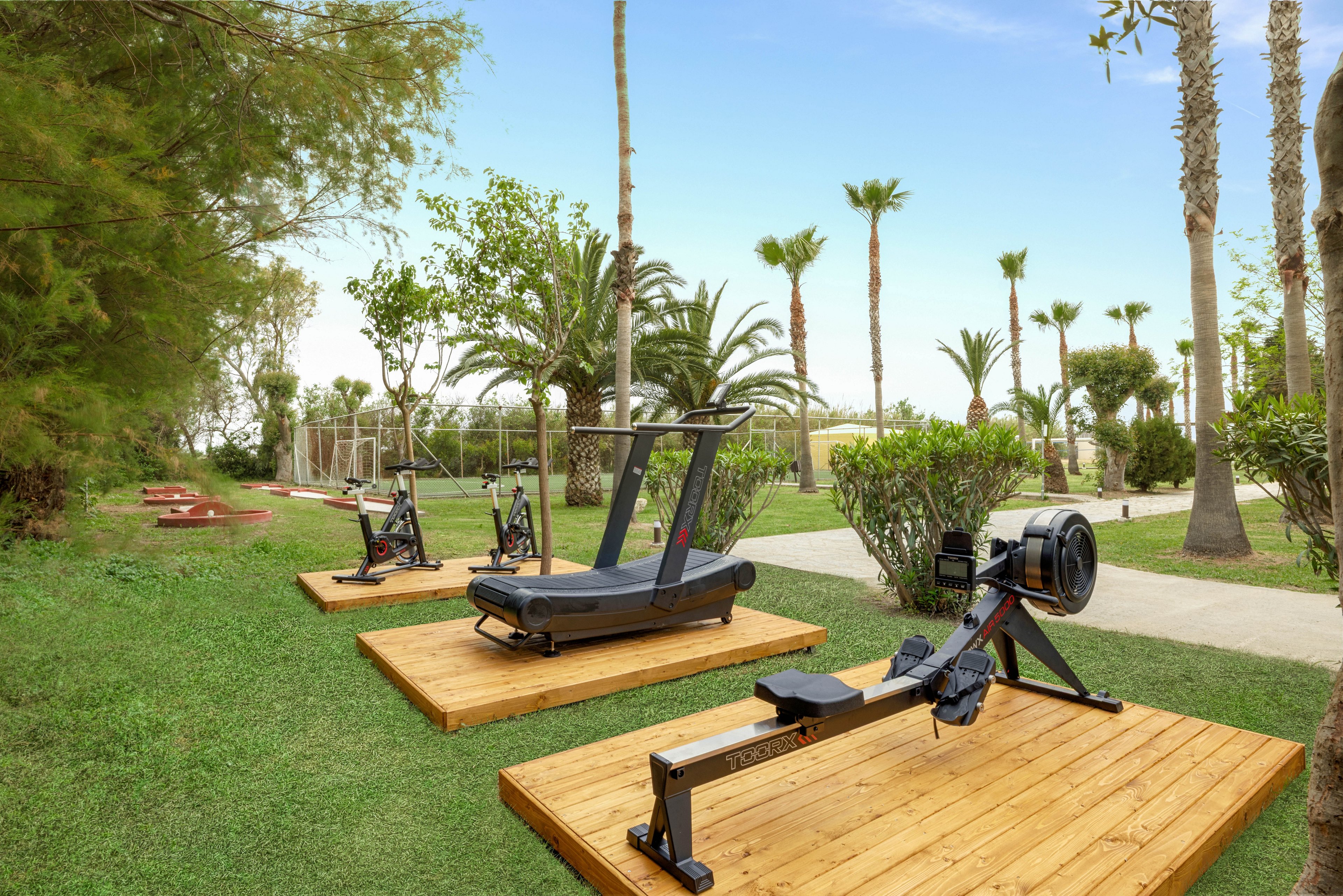 Cardio and rowing machines are arranged on wooden platforms in an outdoor fitness area. The equipment is set on a grassy lawn surrounded by palm trees and lush greenery. A paved path runs through the scene, suggesting a resort or park setting. The sky is clear and bright, creating a fresh and inviting workout atmosphere.
