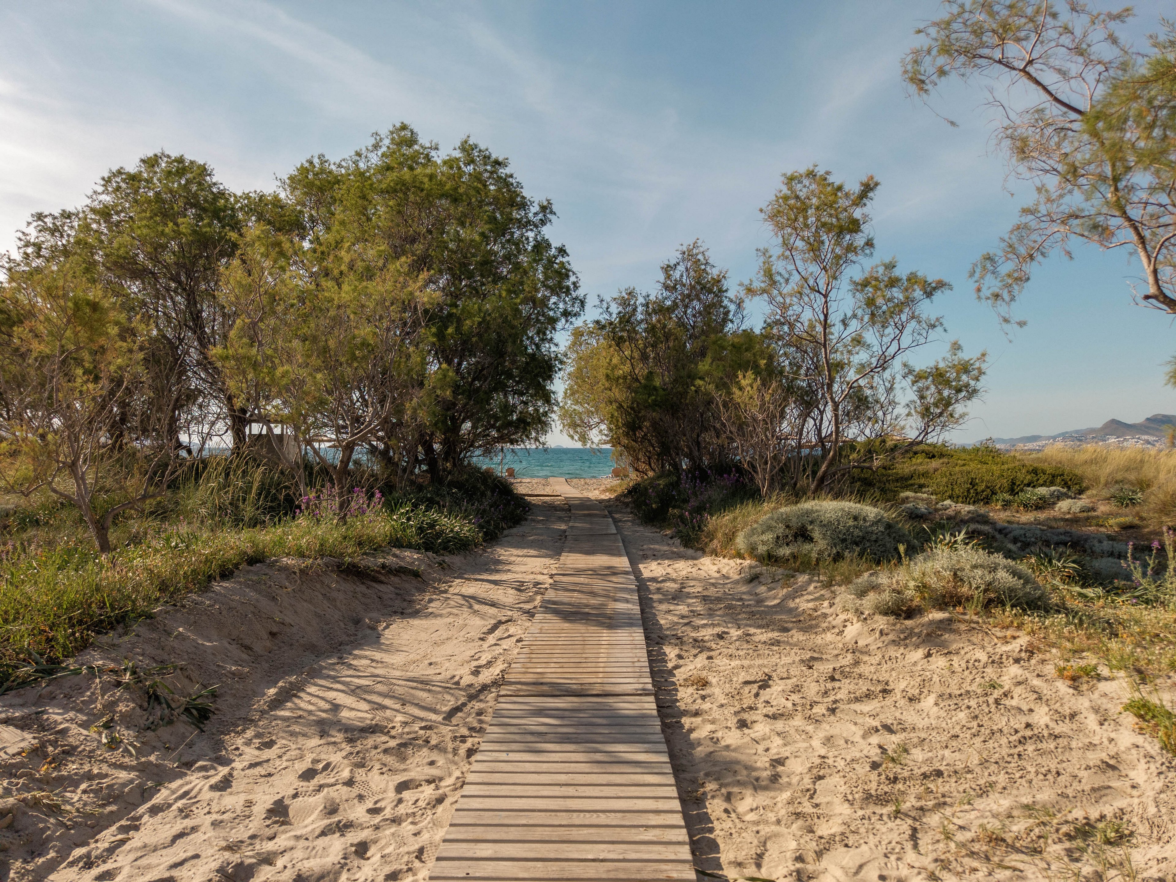 A narrow wooden boardwalk stretches over sandy ground toward a distant beach. Low green shrubs and small trees line both sides of the path, creating a natural corridor. The blue sea is visible at the end of the walkway under a clear sky. Soft sunlight suggests a calm, warm coastal day.