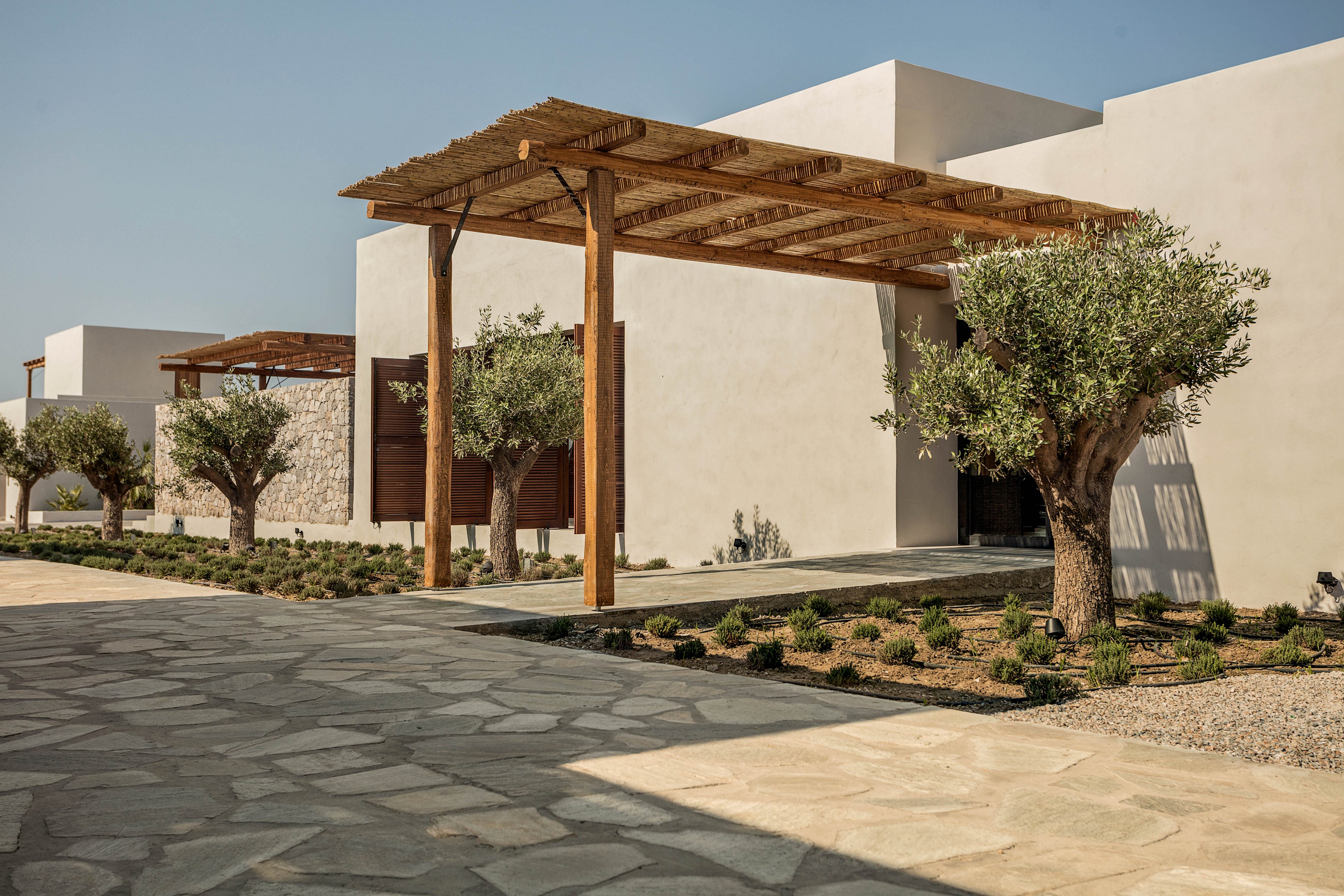 The image features the exterior of a contemporary villa with clean white walls and a wooden pergola at the entrance. Olive trees line the stone-paved walkway, creating a serene and natural atmosphere. The setting is bright and sunny, highlighting the minimalist architectural style and earthy color palette. No visible text or numeric values are present in the image.