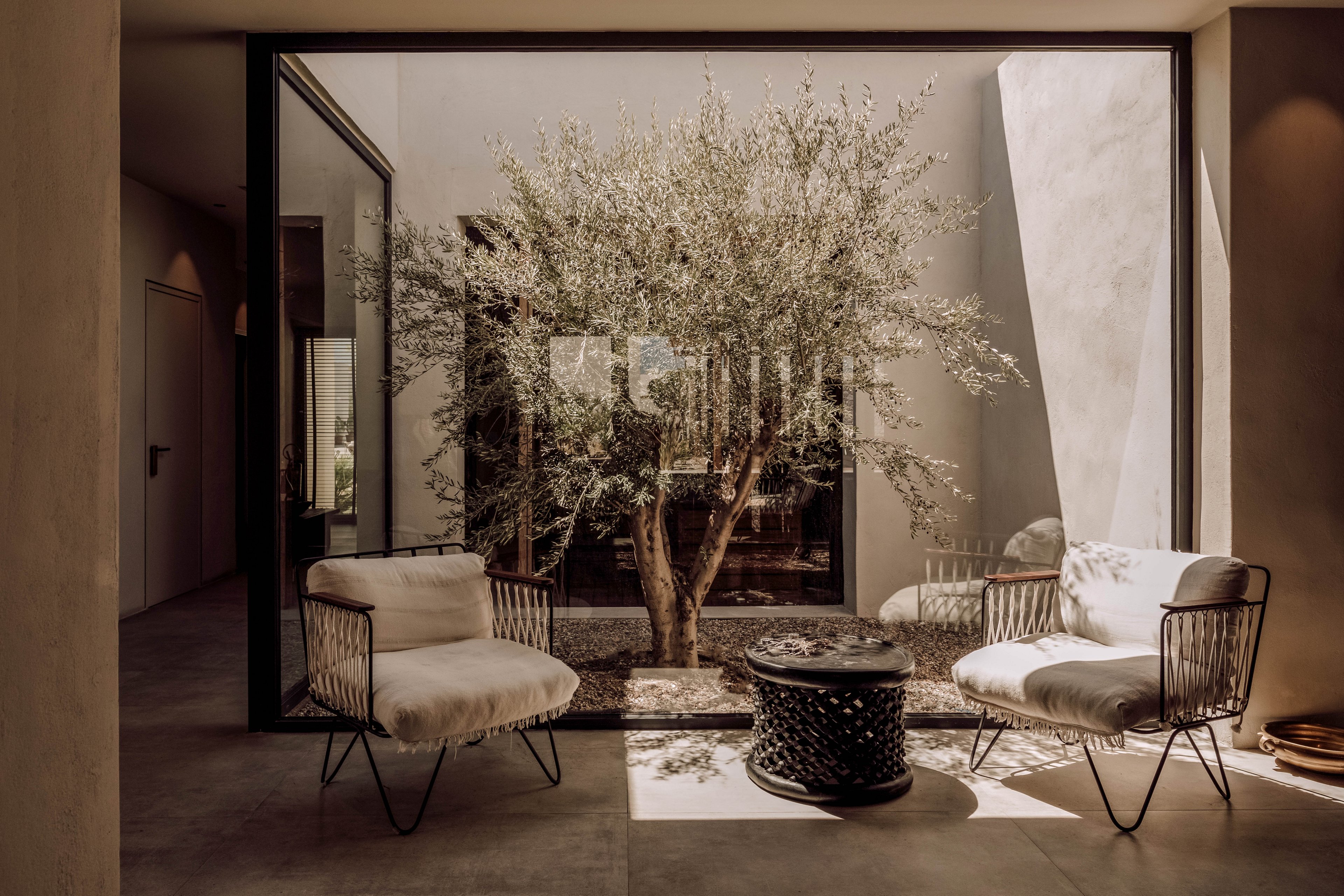 A contemporary indoor lounge features two cushioned chairs and a round woven table, positioned beside a large glass window. The window frames a serene courtyard with a mature tree, casting soft shadows into the space. The setting is minimalist, with neutral tones and natural light creating a calm, inviting atmosphere.