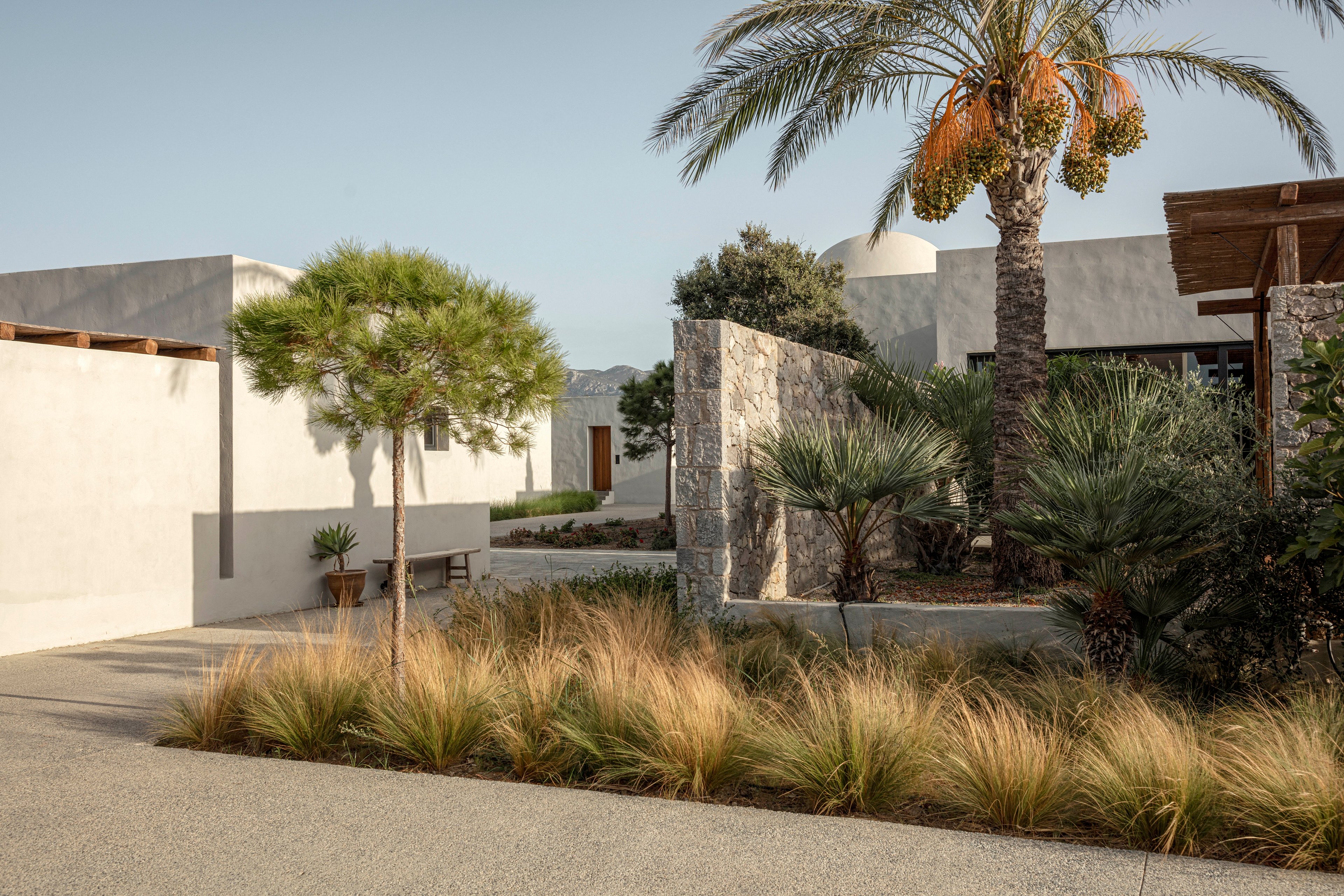 The image features a contemporary villa with minimalist architecture, characterized by white walls and stone accents. The setting is outdoors, with palm trees and ornamental grasses adding a Mediterranean or desert vibe. The lighting is natural, creating a warm and tranquil mood. No visible text or numeric values are present in the scene.