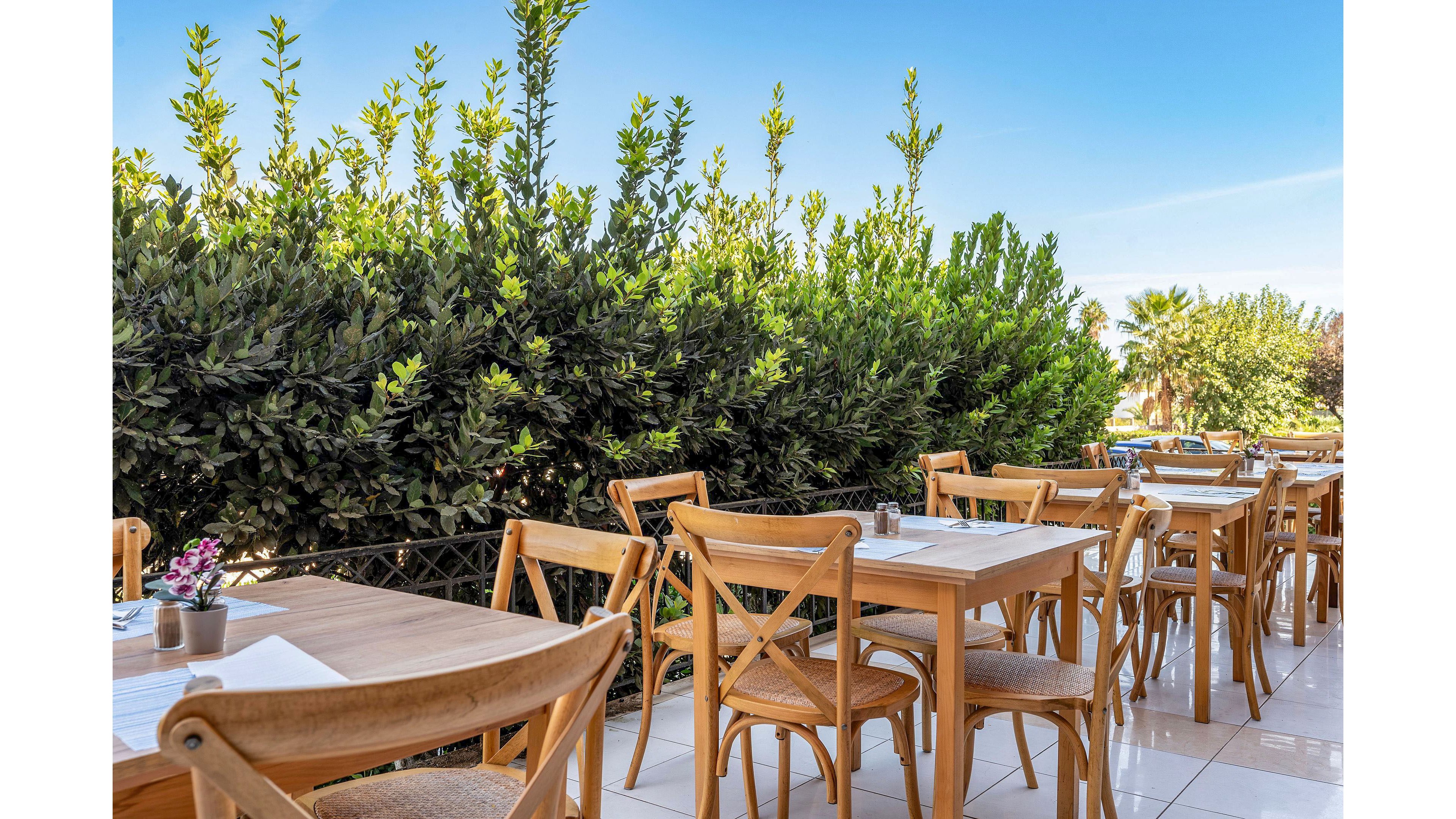 An outdoor café terrace features neatly arranged wooden tables and chairs with white table settings. Small potted plants and flowers decorate the tables, adding a touch of color. A tall green hedge borders the seating area, with additional trees and greenery visible in the background. The scene is brightly lit under a clear blue sky, suggesting a pleasant, sunny day.
