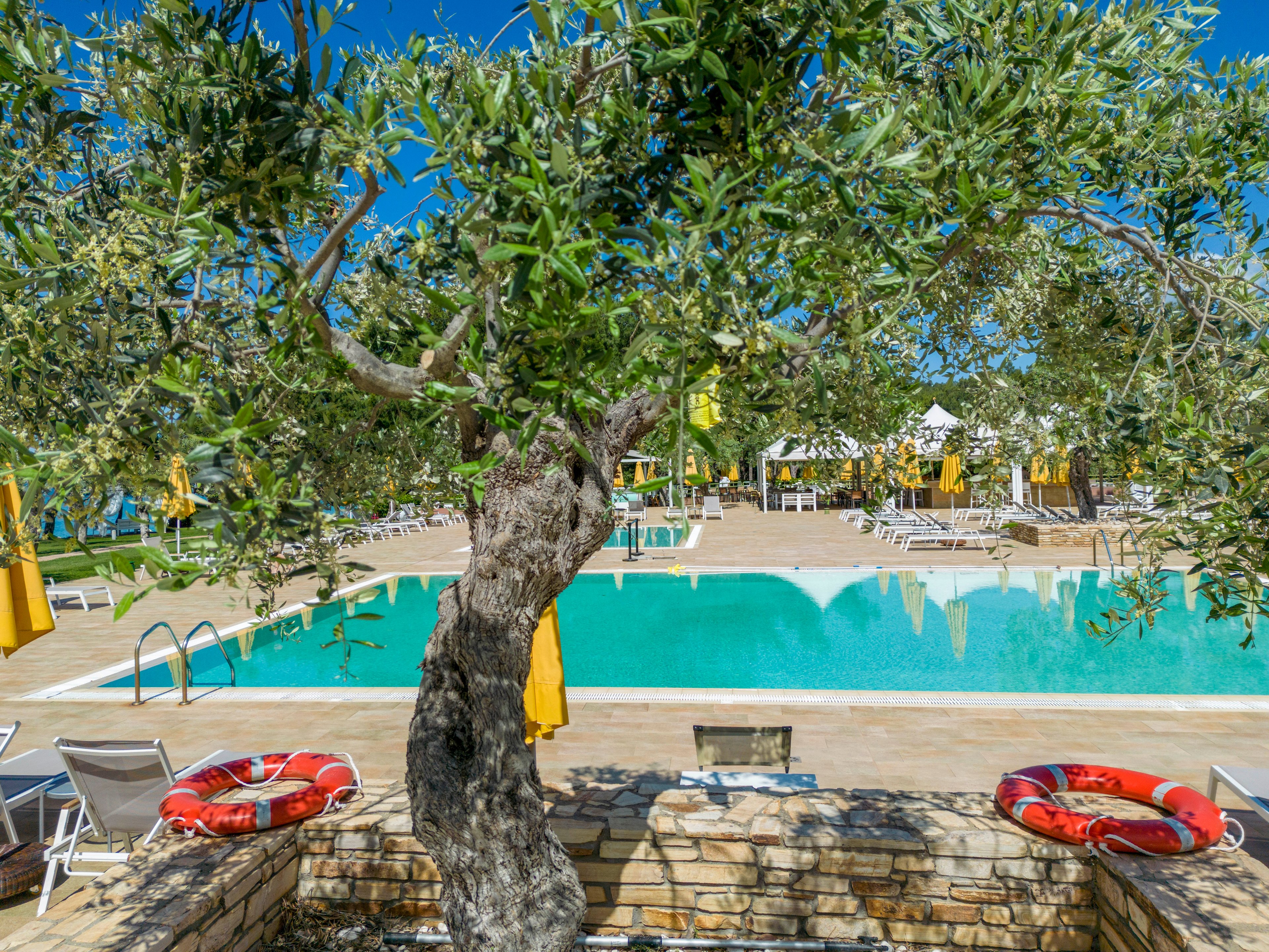 Royal Paradise Beach Resort & Spa