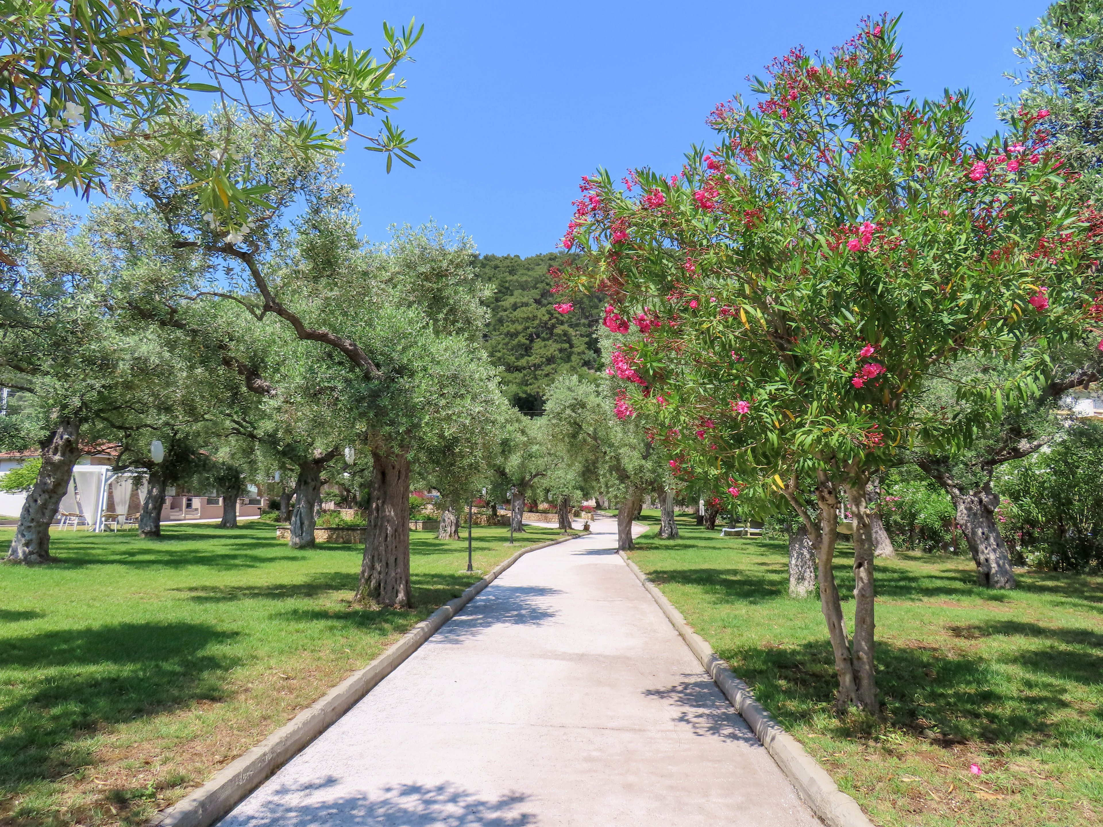 Aroma Beach & Bungalows