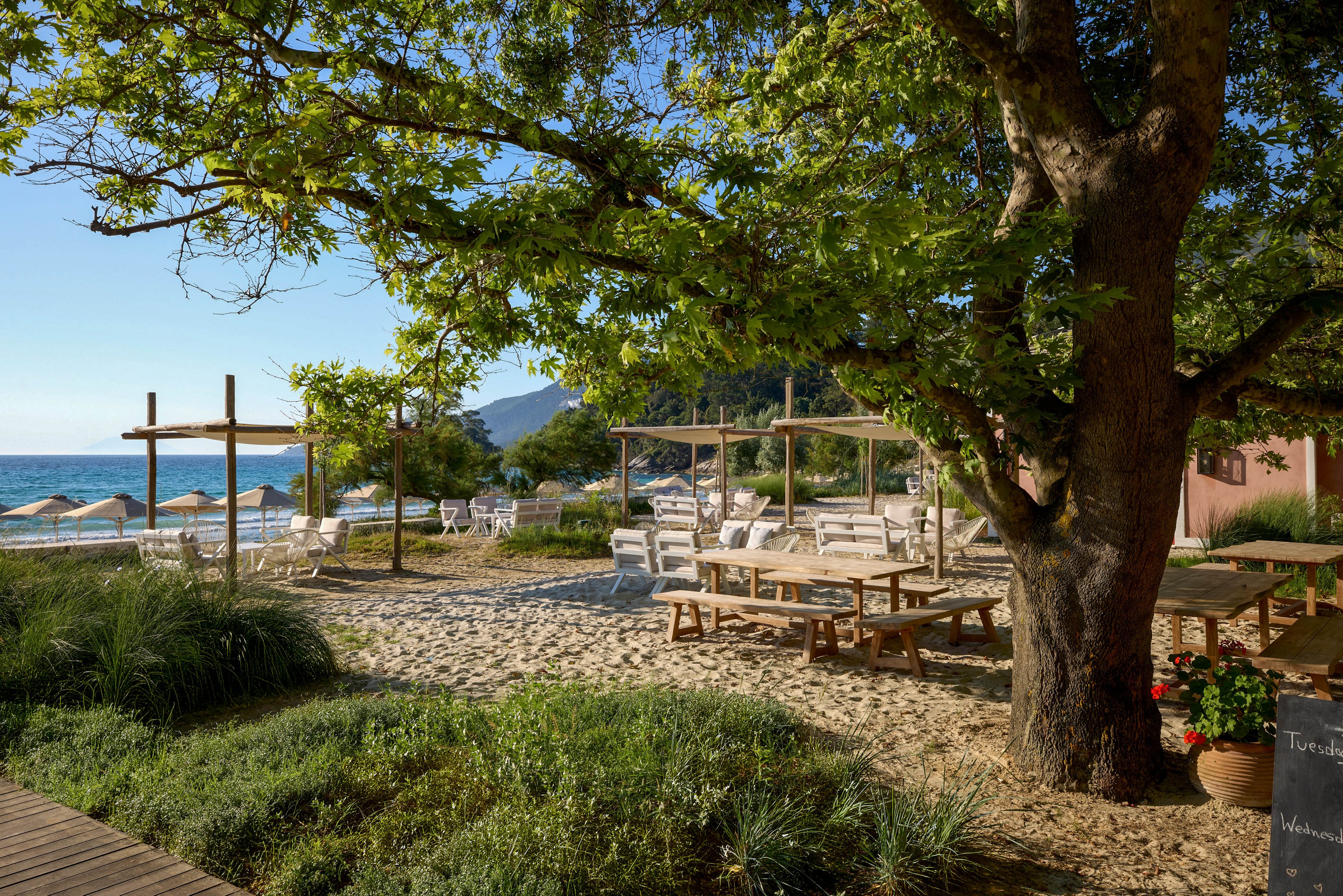 An inviting beachfront café features wooden picnic tables and white lounge chairs arranged on sandy ground beneath a large leafy tree. The setting overlooks a calm blue sea with sun umbrellas lined up along the shore and distant mountains in the background. Green shrubs and grasses frame the scene, adding a natural, coastal garden feel. Soft morning or late afternoon light creates a relaxed, tranquil atmosphere ideal for outdoor dining or leisure.