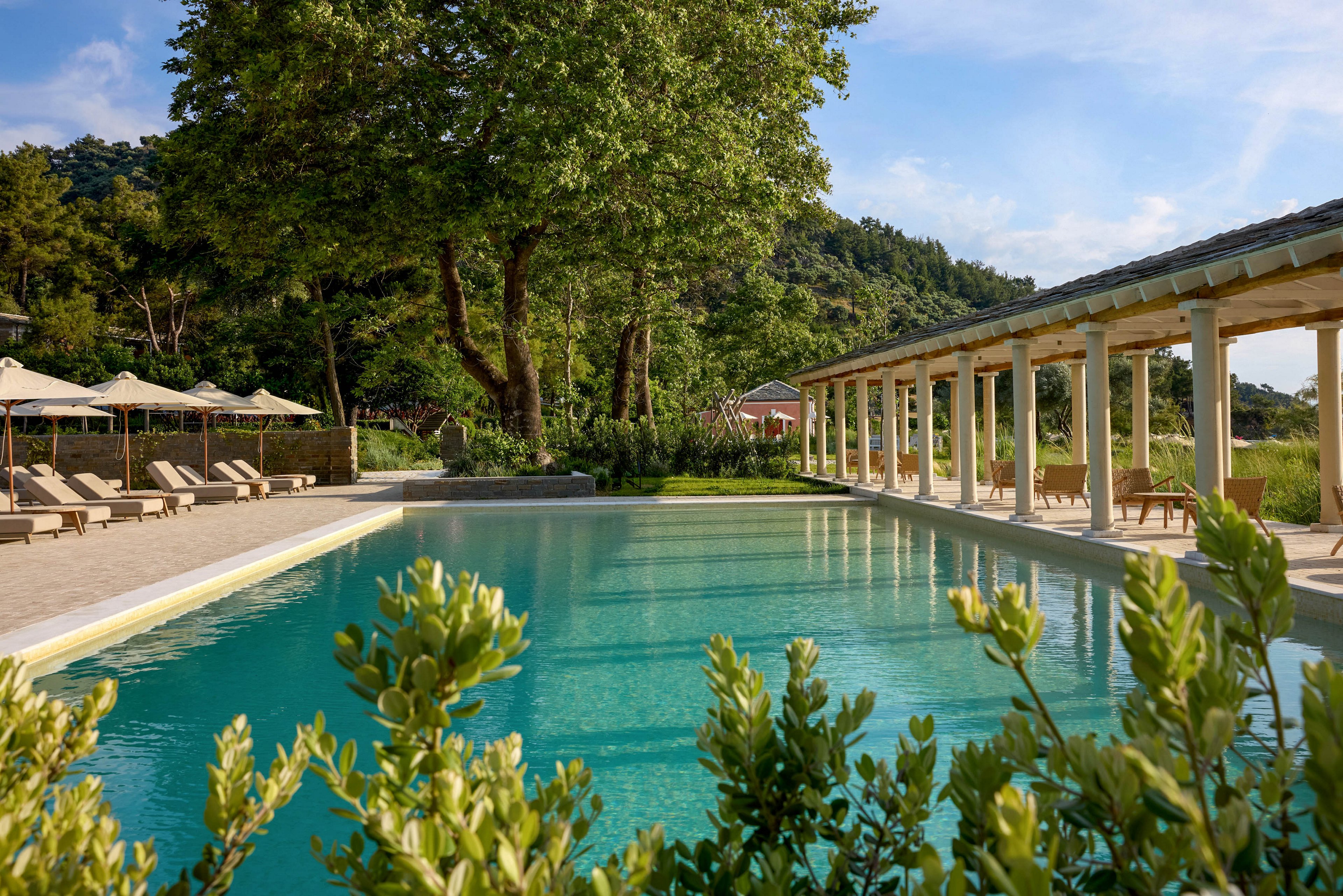 A tranquil outdoor swimming pool sits beside a long pergola lined with lounge chairs. Large trees and lush greenery surround the pool, creating a natural, secluded atmosphere. Sun umbrellas and seating areas suggest a relaxing resort or hotel setting. The clear blue water reflects the sky, enhancing the calm and inviting mood of the scene.