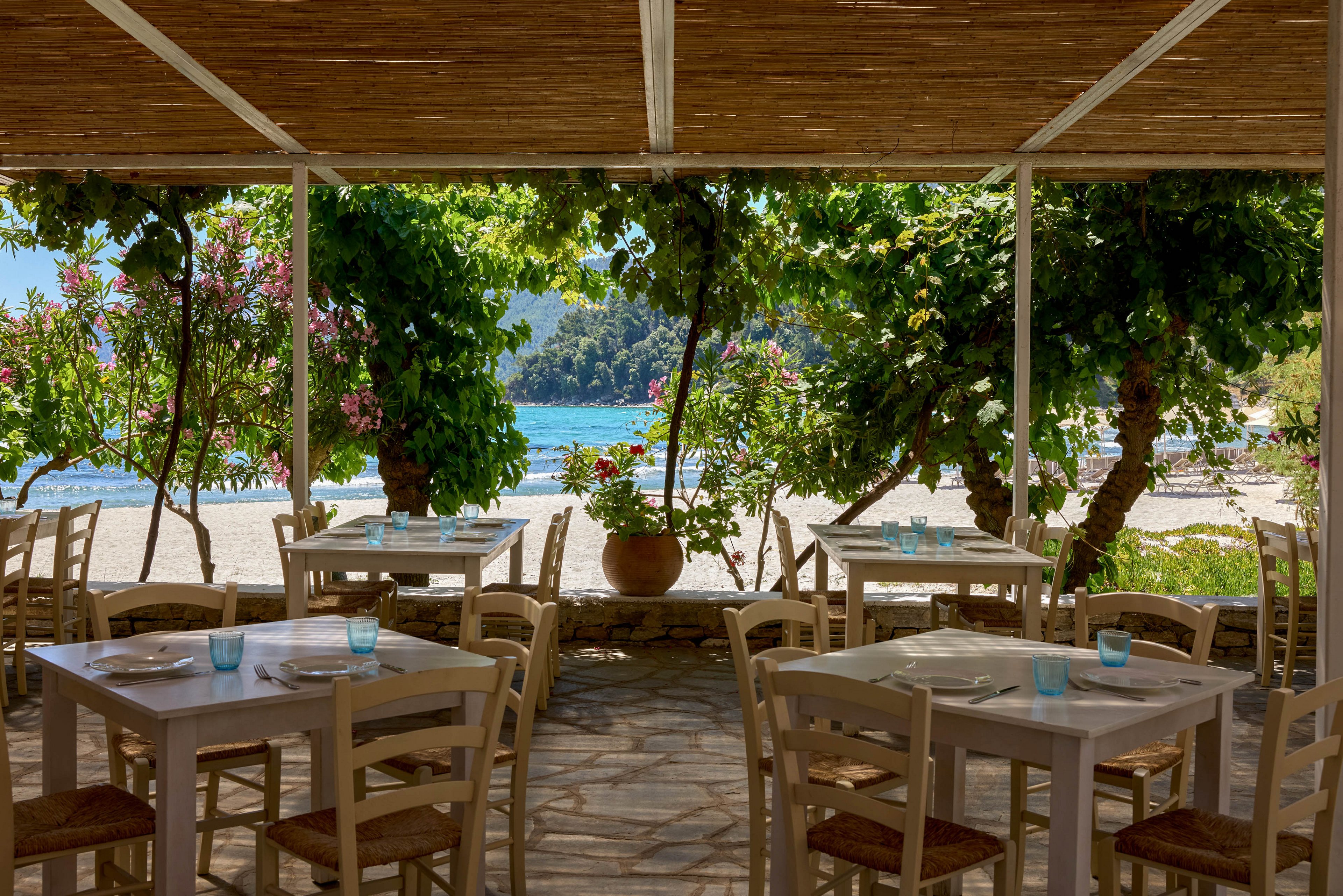An open-air seaside restaurant terrace features simple wooden tables and chairs arranged under a shaded pergola. Lush green vines and flowering plants frame the view toward a sandy beach and calm blue sea. Soft natural light creates a relaxed, inviting atmosphere for outdoor dining. The scene suggests a tranquil coastal setting ideal for leisurely meals by the water.