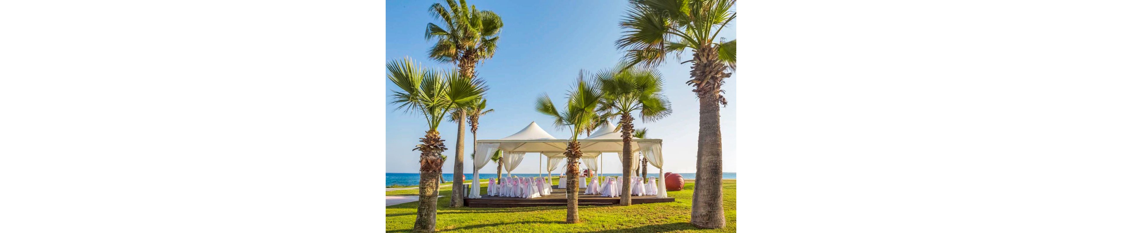 A white event tent is set up on a wooden platform surrounded by palm trees near the sea. Inside the tent, tables and chairs are neatly arranged with white covers and pink accents, suggesting a wedding or formal celebration. The setting features bright green grass, a clear blue sky, and calm ocean water in the background. The overall atmosphere is sunny, festive, and romantic.