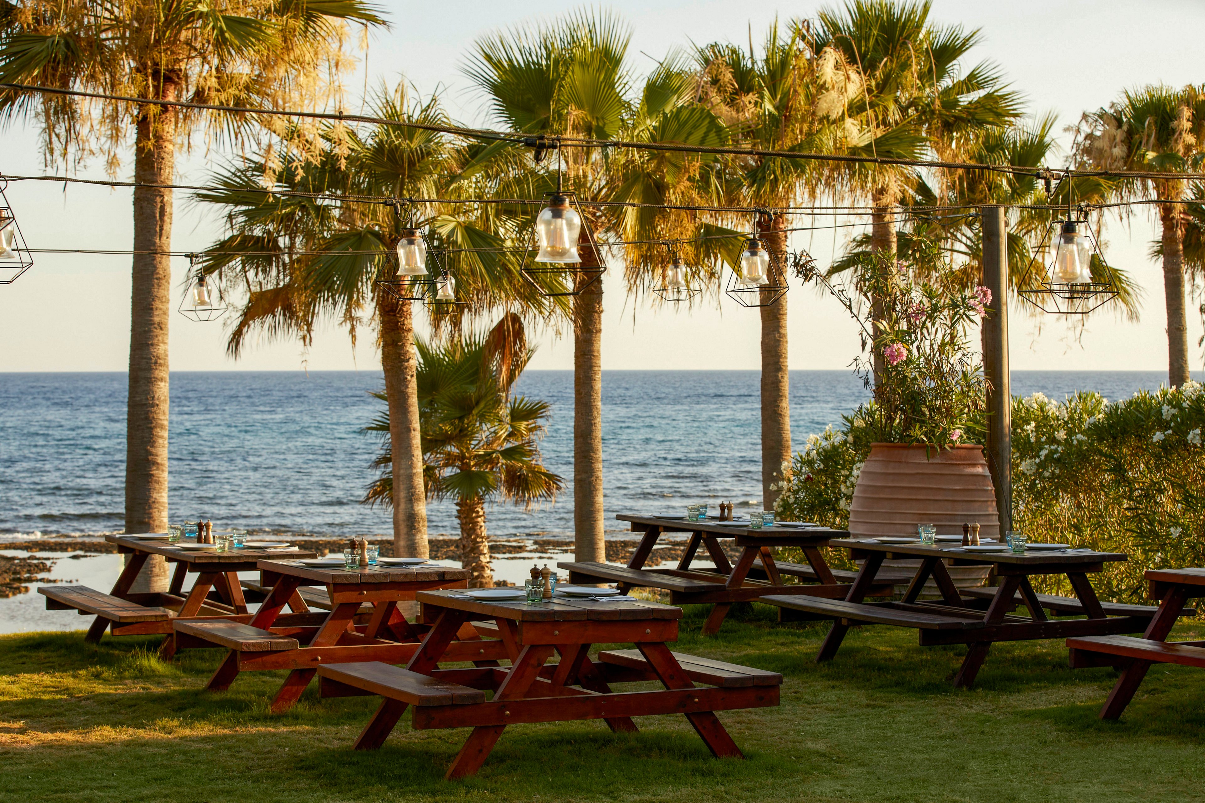 Wooden picnic tables are arranged on a grassy area overlooking a calm sea. Tall palm trees line the space, with hanging lanterns and lights strung between them. A large planter with lush greenery adds to the tropical atmosphere. The warm, golden light suggests late afternoon or early evening at a relaxed coastal venue.