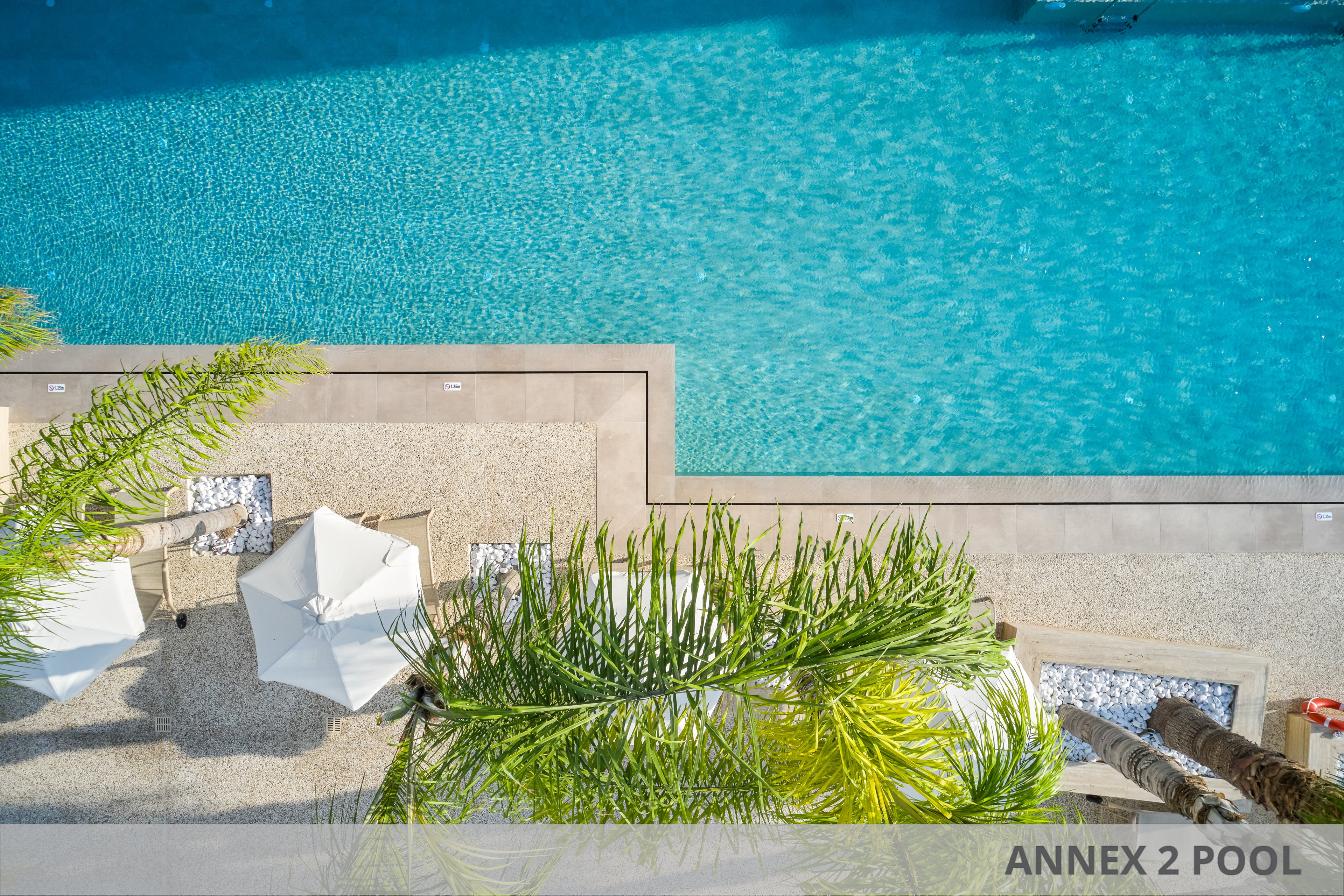 Atlantica Sancta Napa