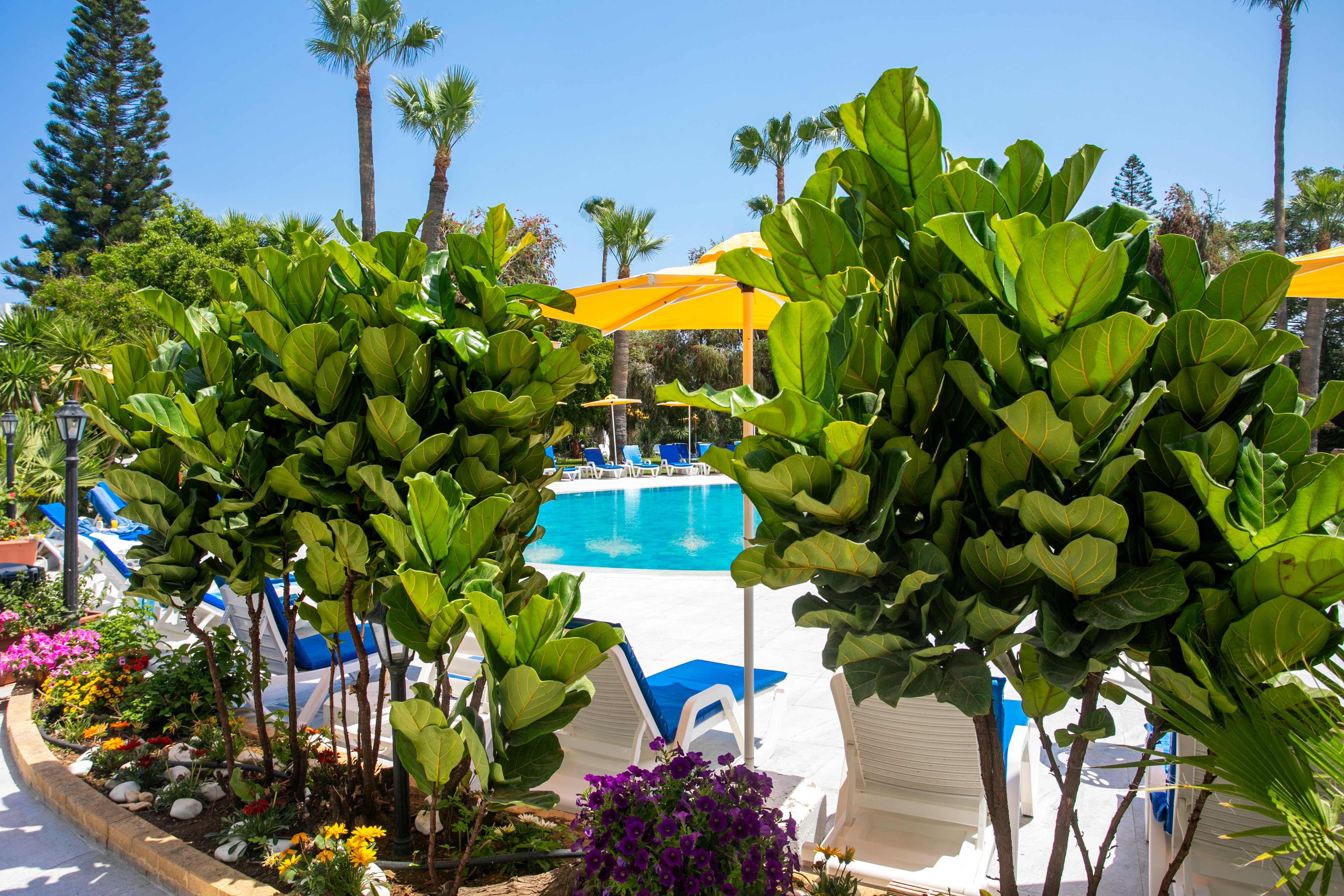 Papouis Protaras Hotel