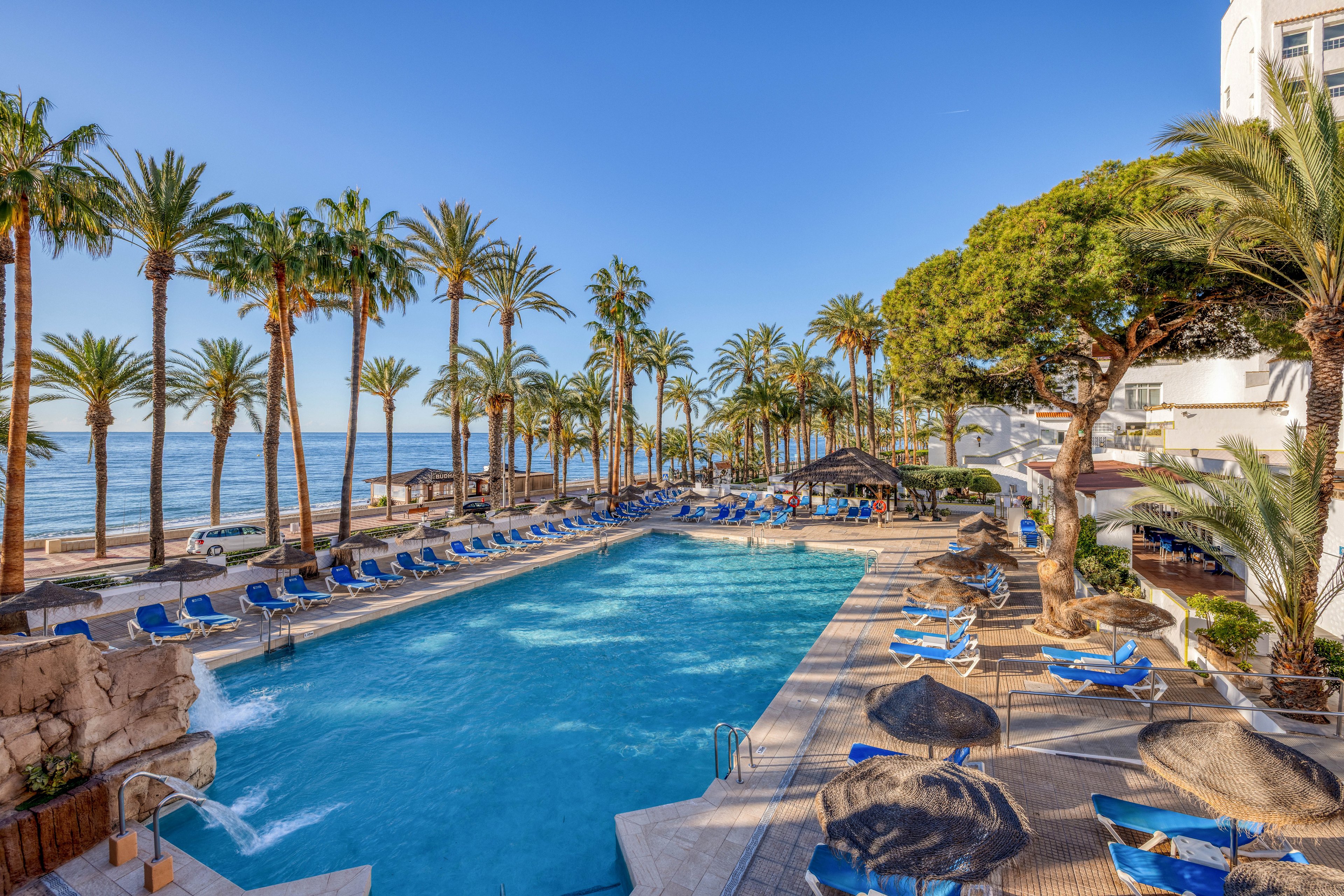 A large outdoor swimming pool is surrounded by rows of blue sun loungers and parasols at a seaside resort. Tall palm trees line the pool area, leading the eye toward the calm ocean in the background. Clear blue skies and bright sunlight create a warm, inviting vacation atmosphere. Hotel buildings and a poolside bar or seating area are visible, suggesting a popular holiday destination.