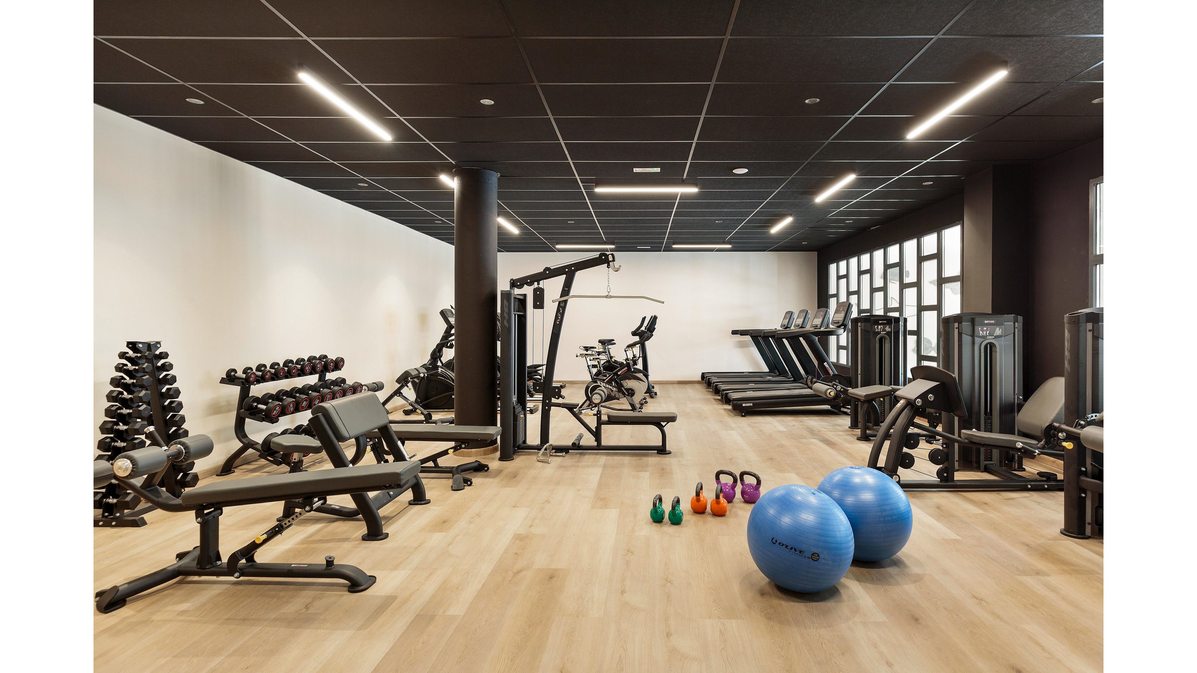 Best Oasis Tropical Hotel