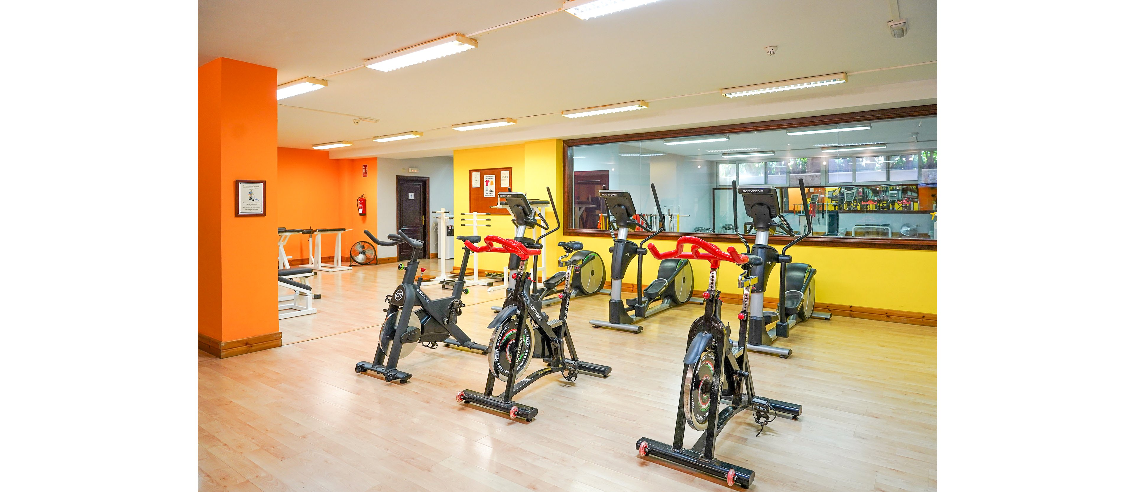 Evenia Zoraida Garden