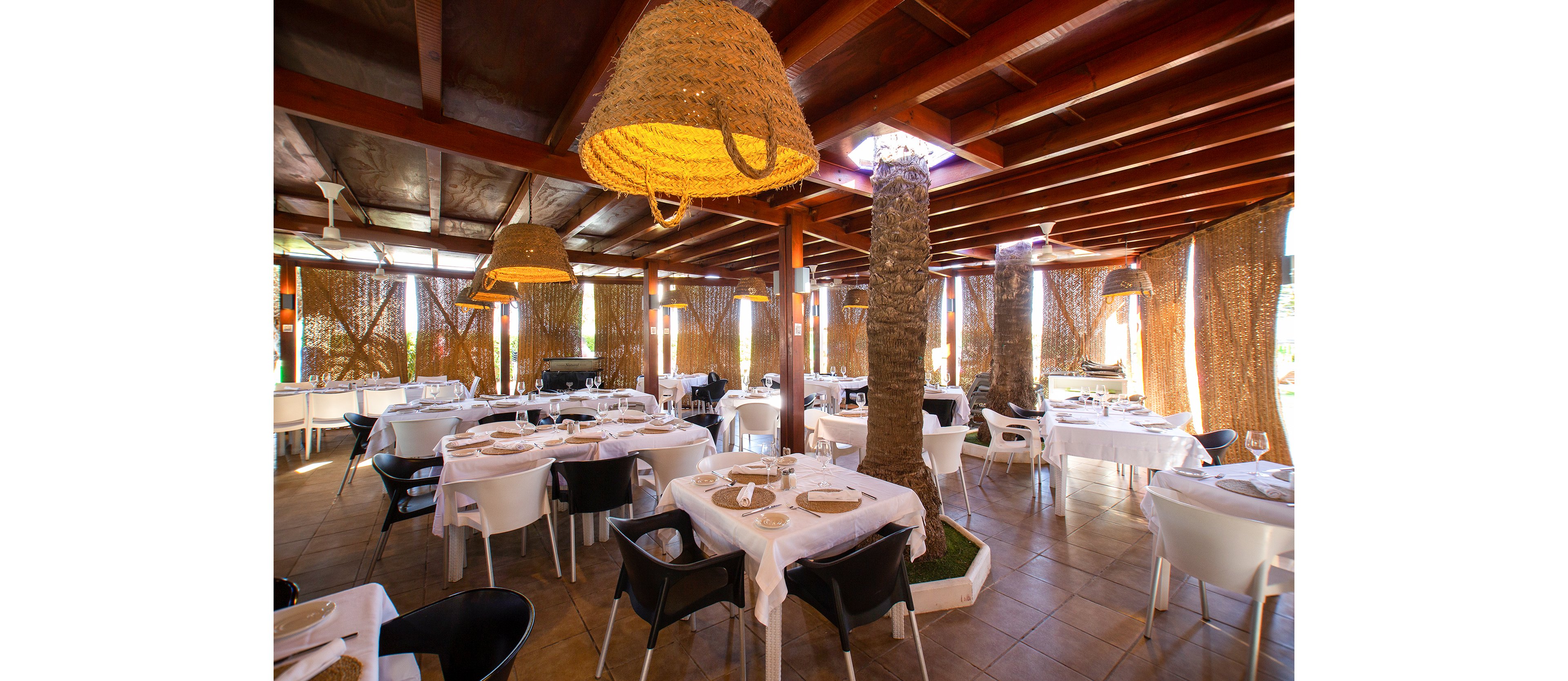 Evenia Zoraida Garden