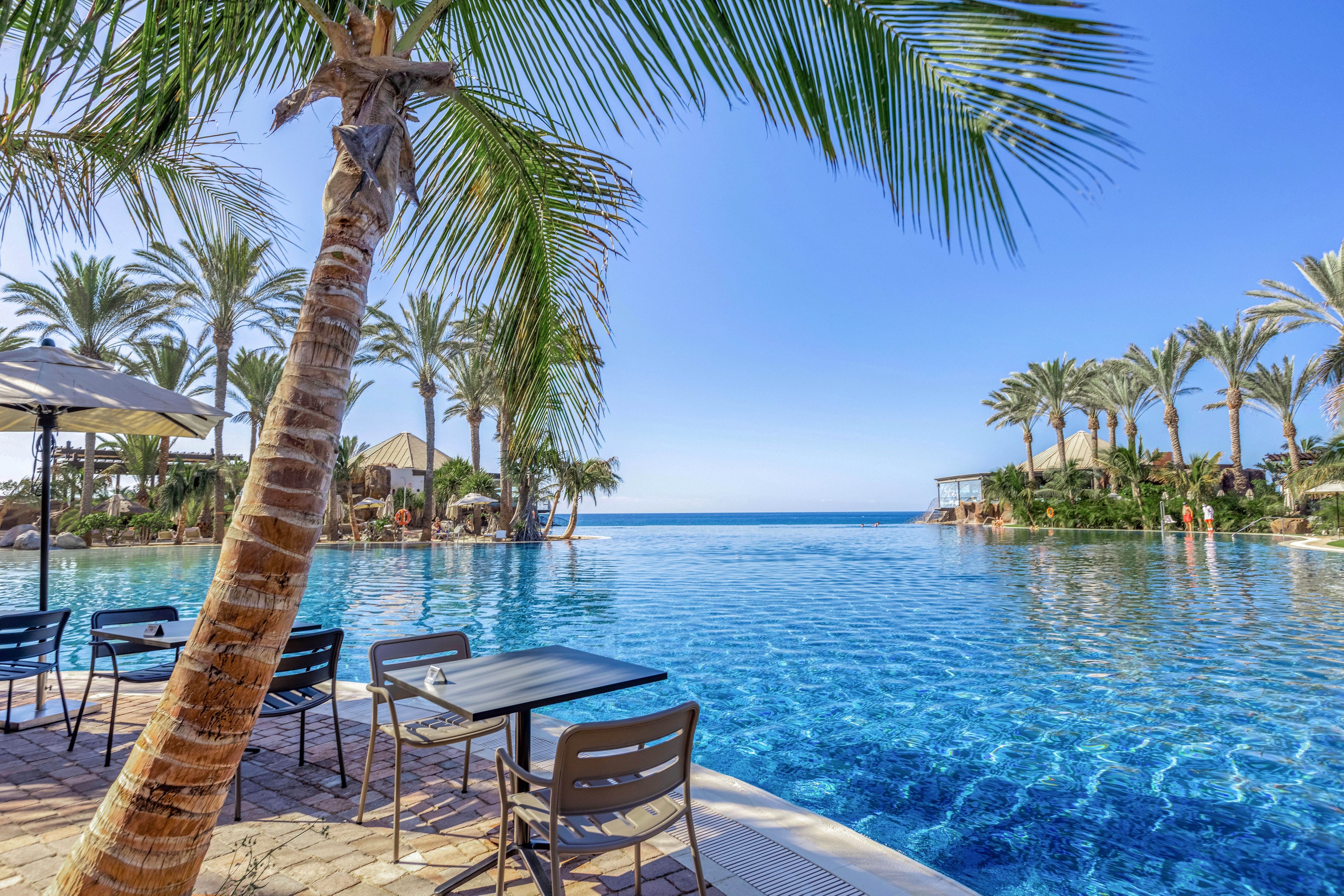 A large infinity pool stretches toward the horizon at a tropical seaside resort. Palm trees frame the scene, with lounge chairs and tables arranged along the poolside terrace. Clear blue water reflects the bright sky, creating a serene and inviting atmosphere. In the distance, a few people enjoy the pool near lush greenery and the calm sea.
