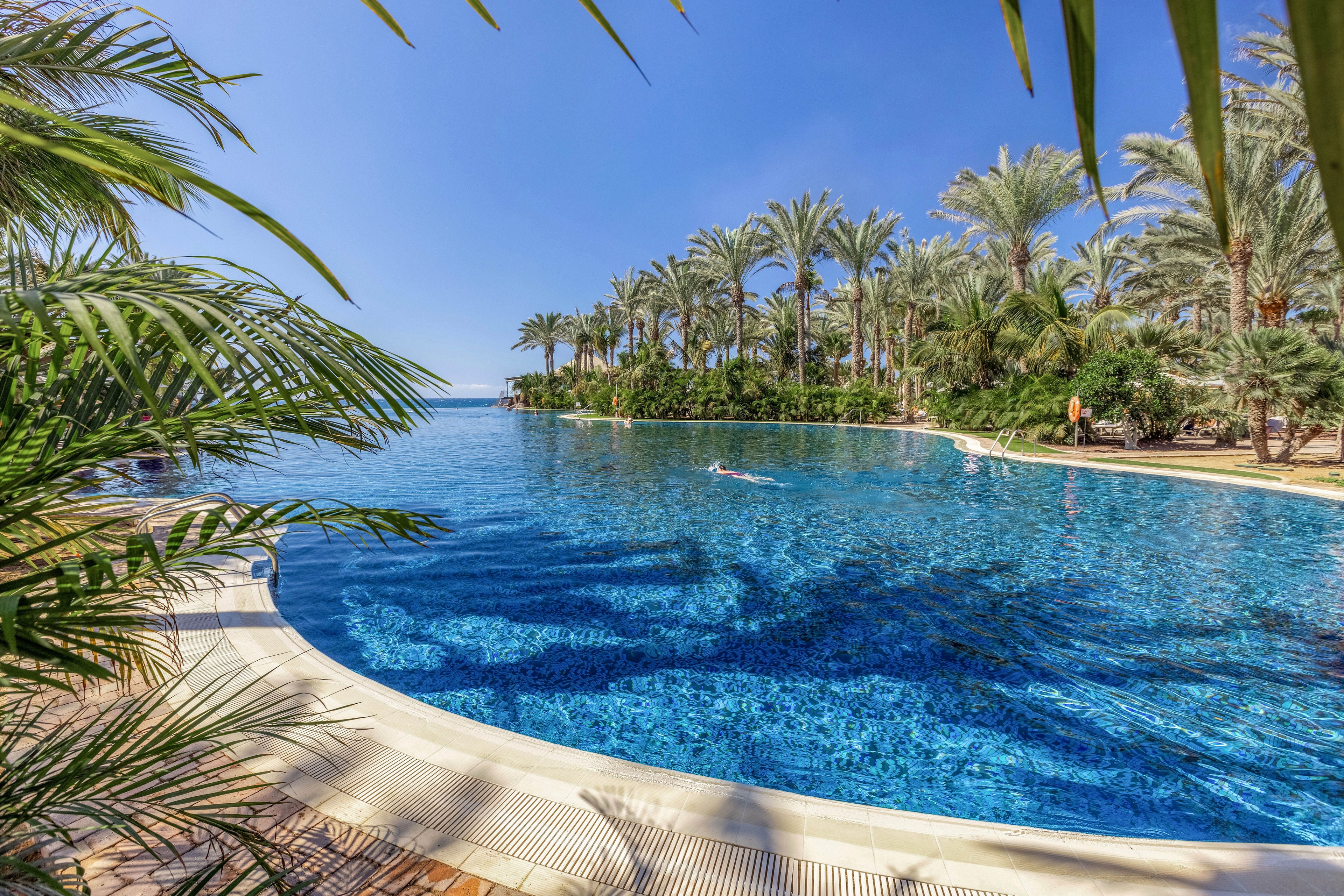 A large infinity-style swimming pool stretches out under a clear blue sky, surrounded by lush palm trees and tropical plants. Swimmers enjoy the calm, inviting water while the distant horizon hints at the nearby sea. The scene is framed by greenery, emphasizing a secluded, resort-like atmosphere. Bright sunlight and vivid blue tones create a relaxing vacation mood.