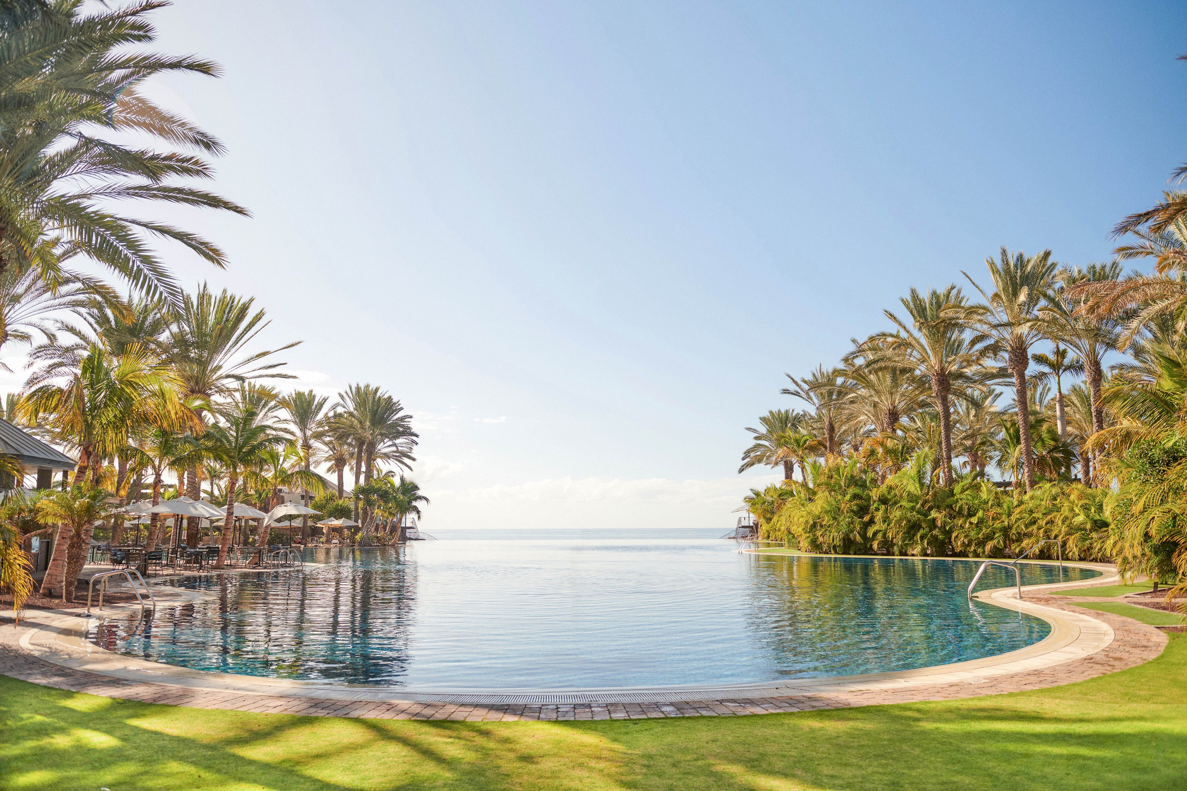 A serene infinity pool stretches toward a calm ocean horizon under a clear blue sky. Tall palm trees and lush greenery frame the pool on both sides, creating a tropical resort atmosphere. Sun loungers and umbrellas line the poolside, suggesting a relaxing vacation setting. The bright sunlight and reflections on the water emphasize a warm, tranquil, and luxurious coastal escape.