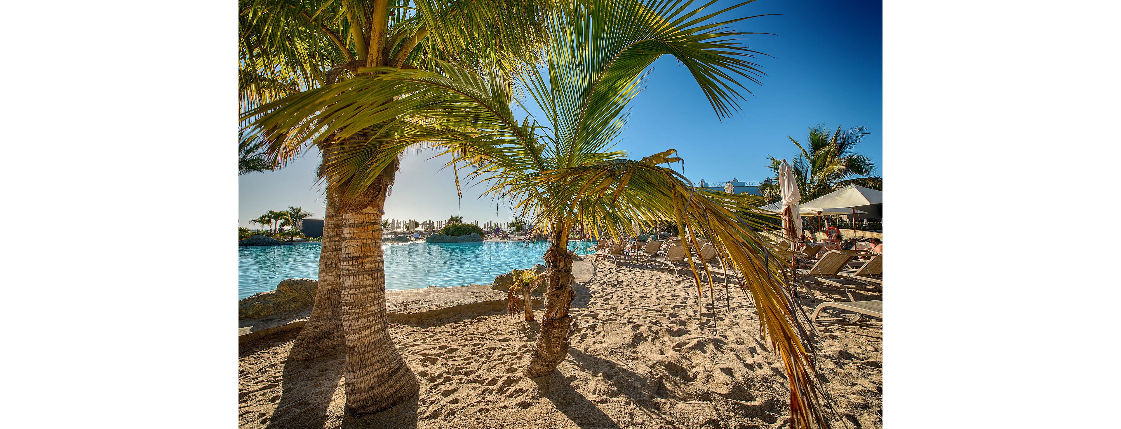A tropical resort pool is framed by lush palm trees and golden sand under a clear blue sky. Sun loungers and umbrellas line the poolside, where guests relax in the warm sunlight. The calm water reflects the bright daylight, creating a serene vacation atmosphere. The scene suggests a leisurely beach-style escape at a luxurious outdoor pool.
