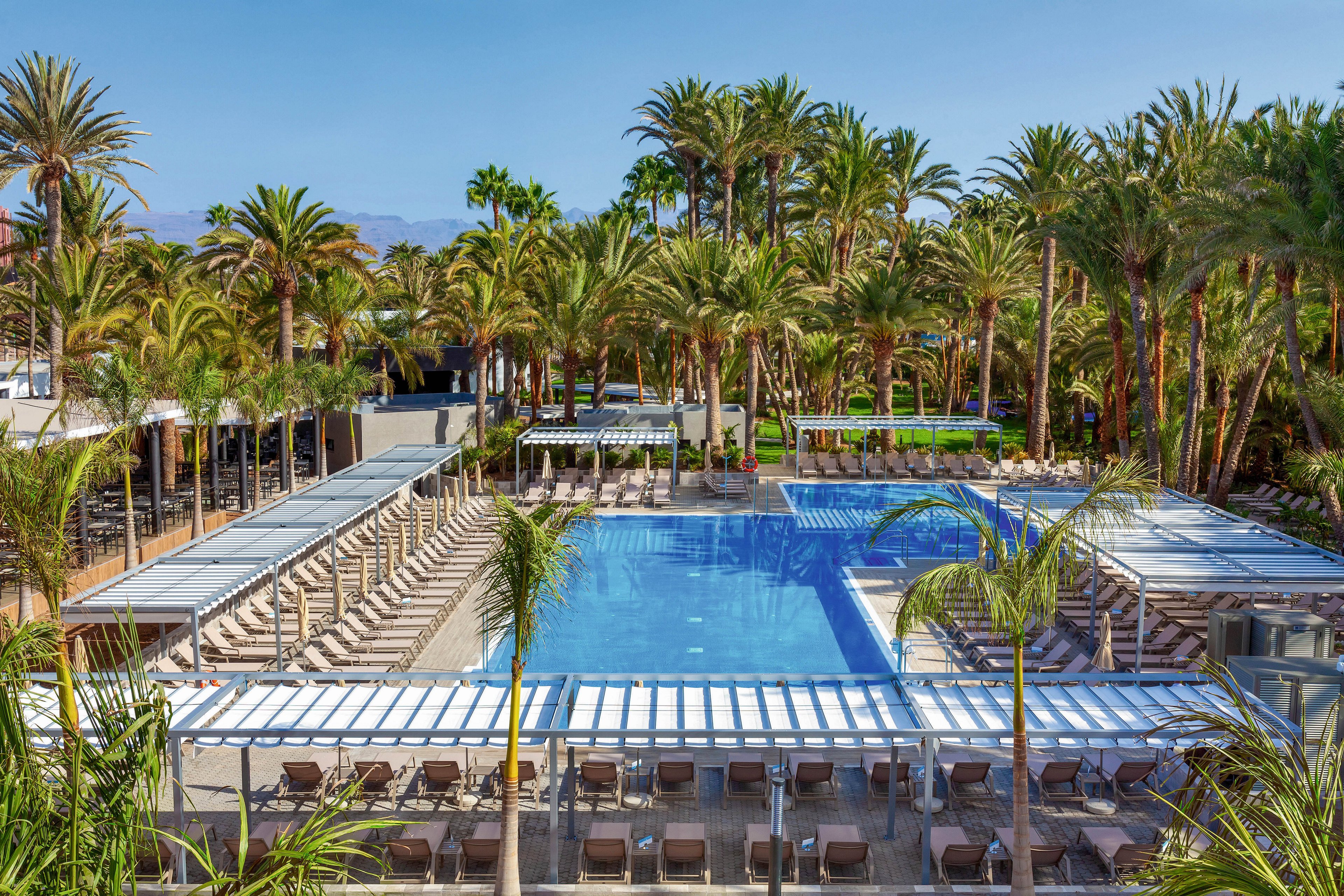 A large, rectangular swimming pool is the centerpiece of this upscale resort, surrounded by rows of lounge chairs and shaded pergolas. The setting is lush with tall palm trees and tropical greenery, creating a relaxing and inviting atmosphere. The clear blue sky and tranquil water suggest a sunny, vacation-like mood, ideal for leisure and relaxation.