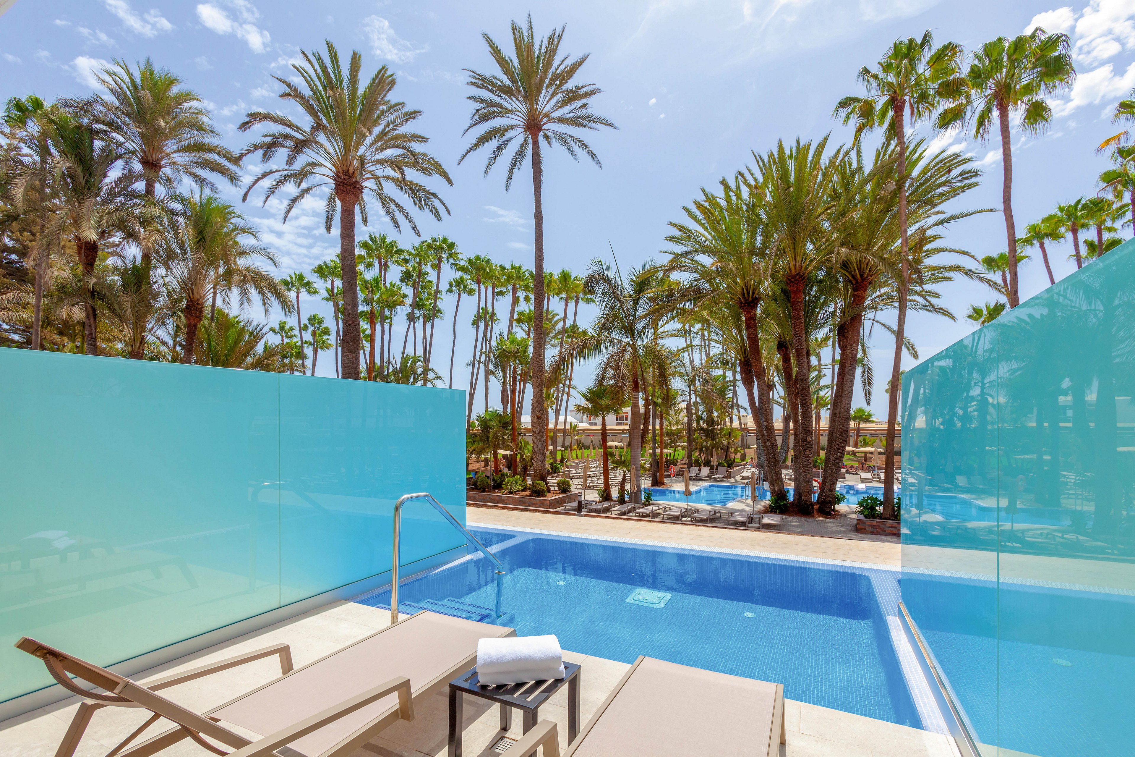 Riu Palace Oasis