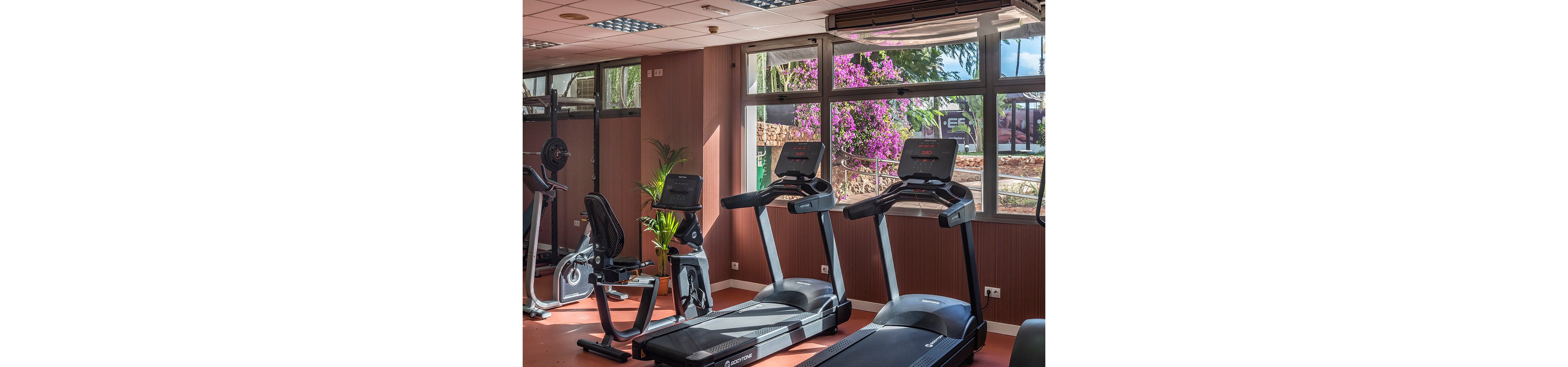 A bright fitness room features several treadmills and an exercise bike positioned near large windows. Sunlight streams in, revealing an outdoor view with lush greenery and vibrant purple flowers. The gym equipment is neatly arranged on a reddish floor, creating an inviting space for cardio workouts. The overall atmosphere is clean, modern, and relaxed.