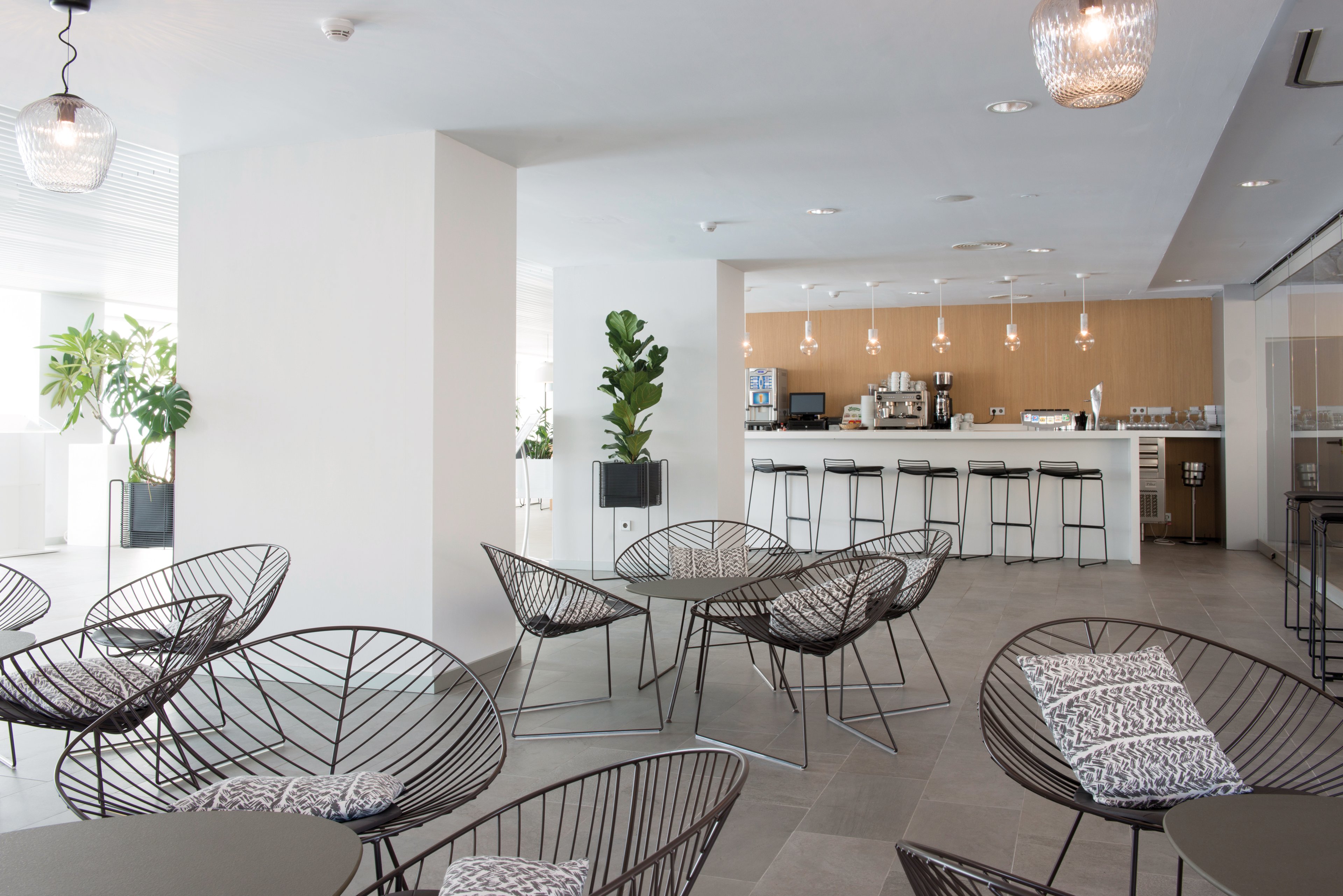 Don Gregory By Dunas