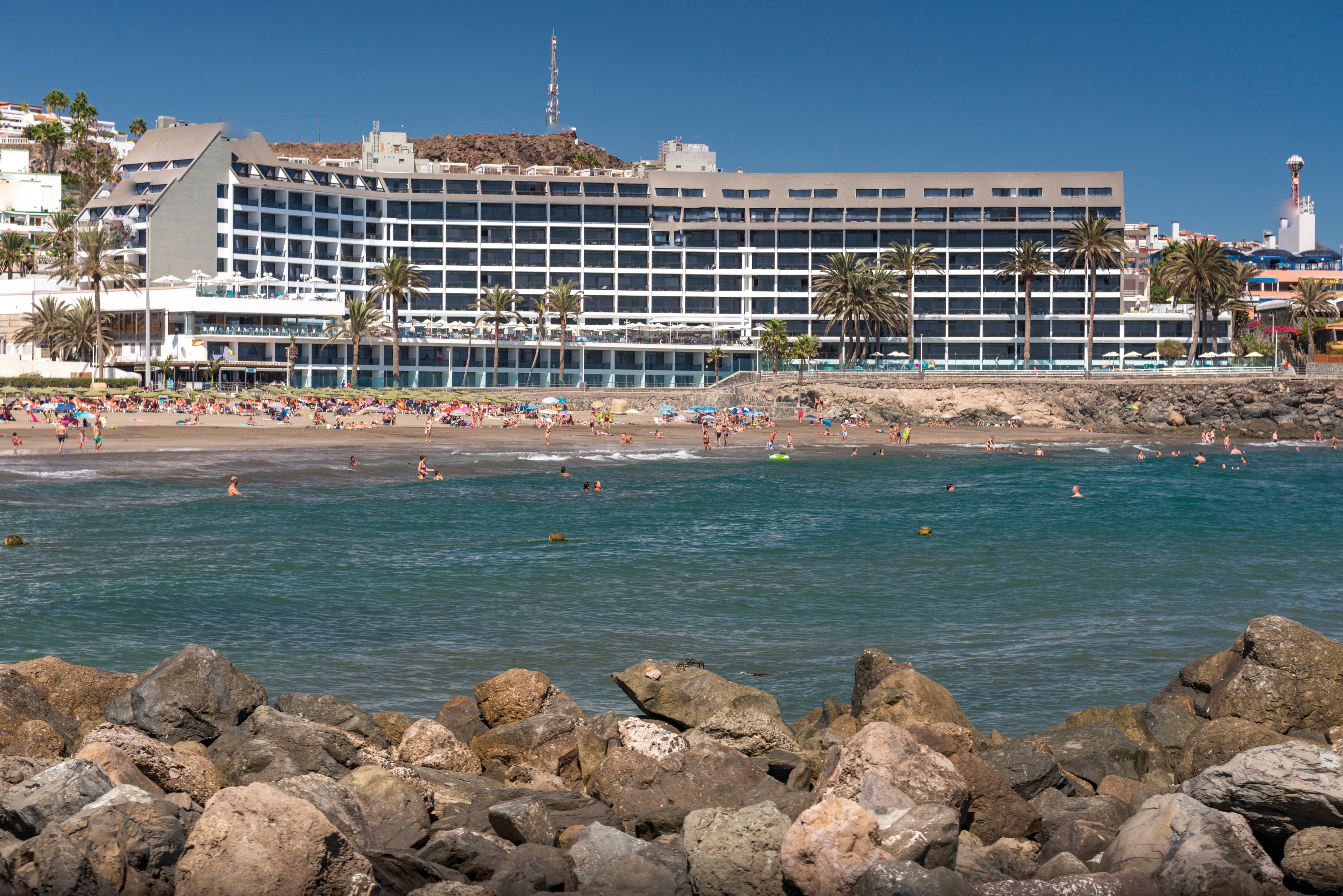 Don Gregory By Dunas