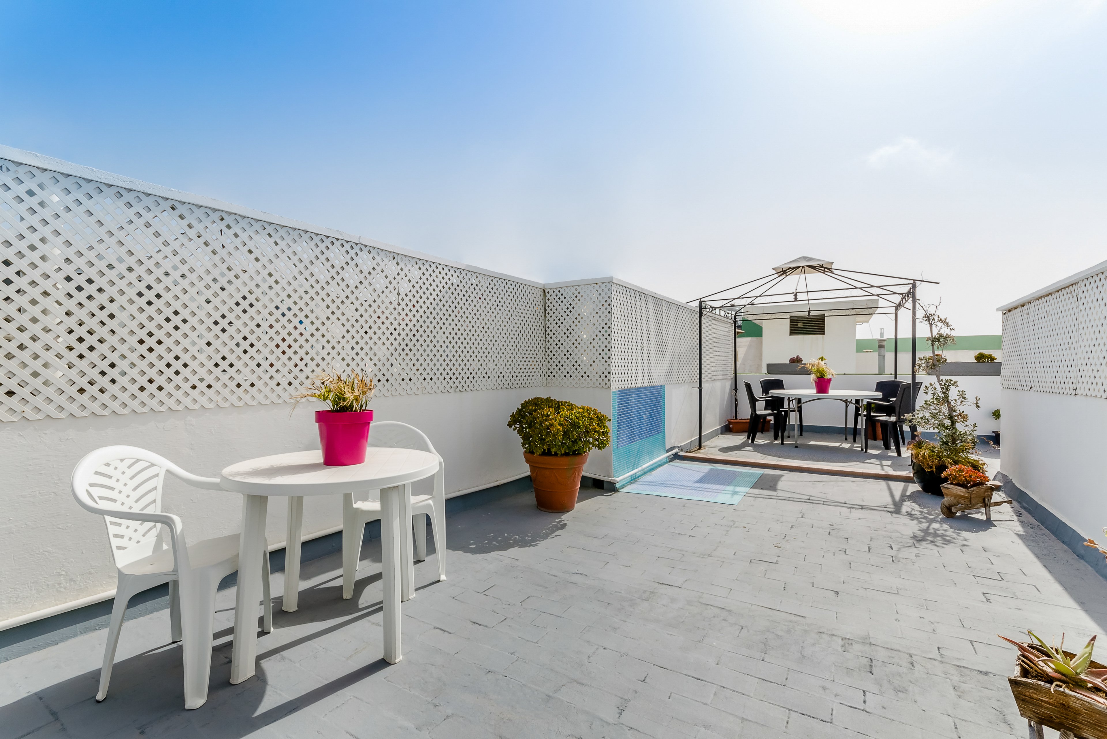 Lemon & Soul Las Palmas