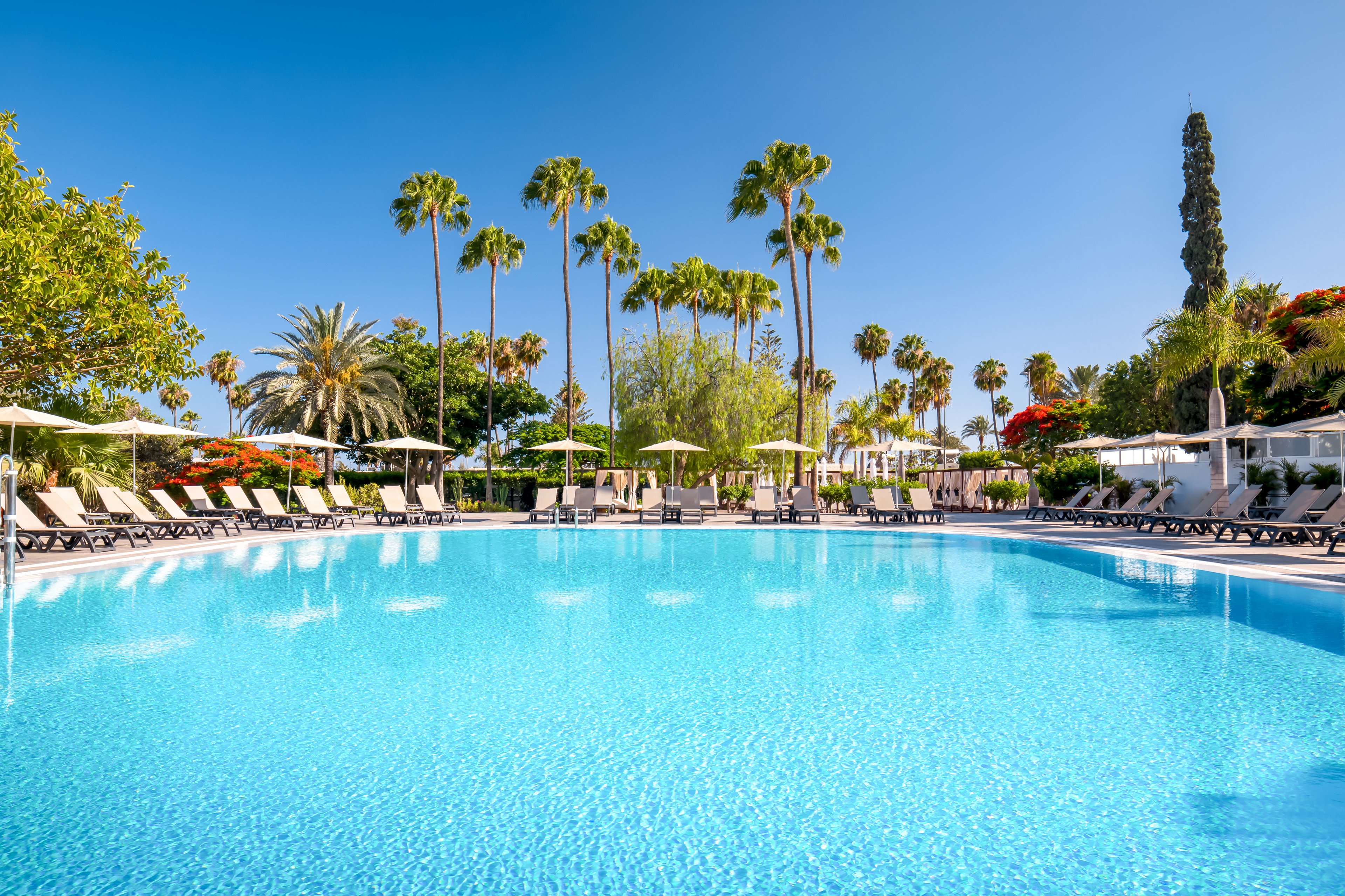 Barcelo Margaritas Royal Level - Adults Only