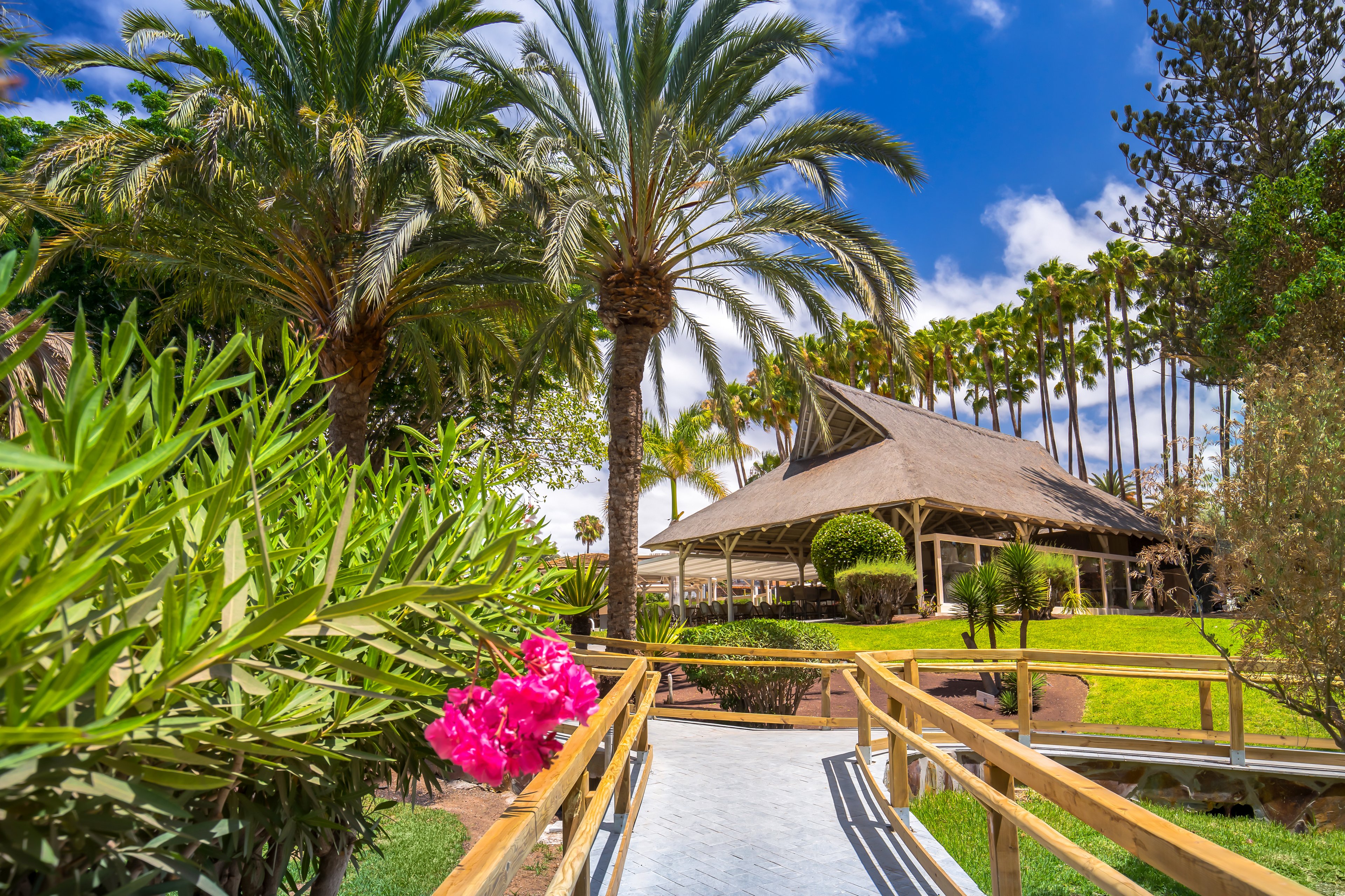 Barcelo Margaritas Royal Level - Adults Only