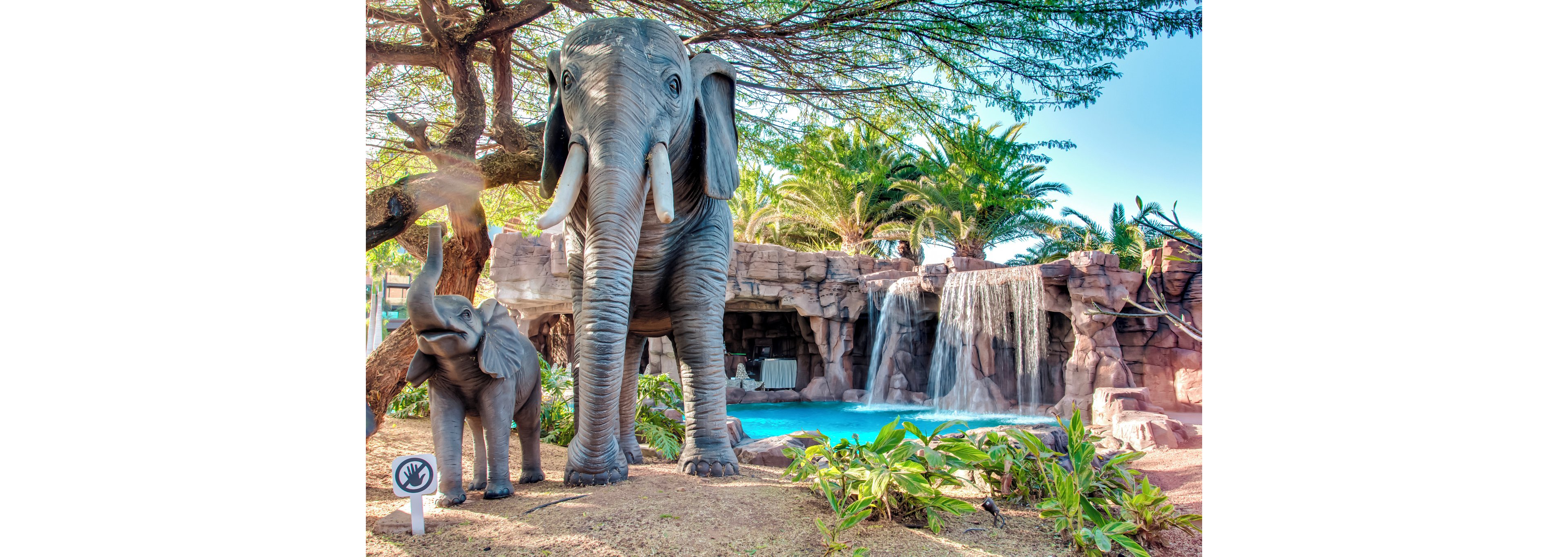 Lopesan Baobab Resort with 4 Rounds of Golf Included