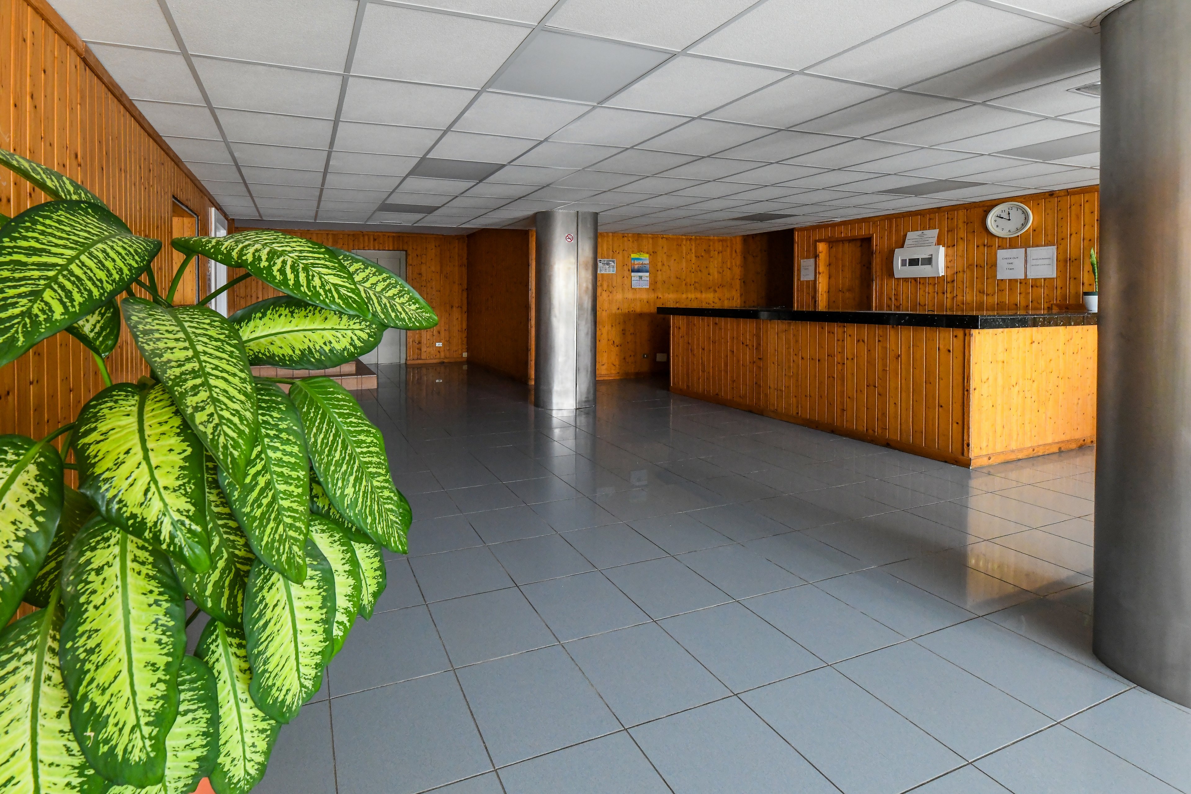 LIVVO Apartments Puerto Bello