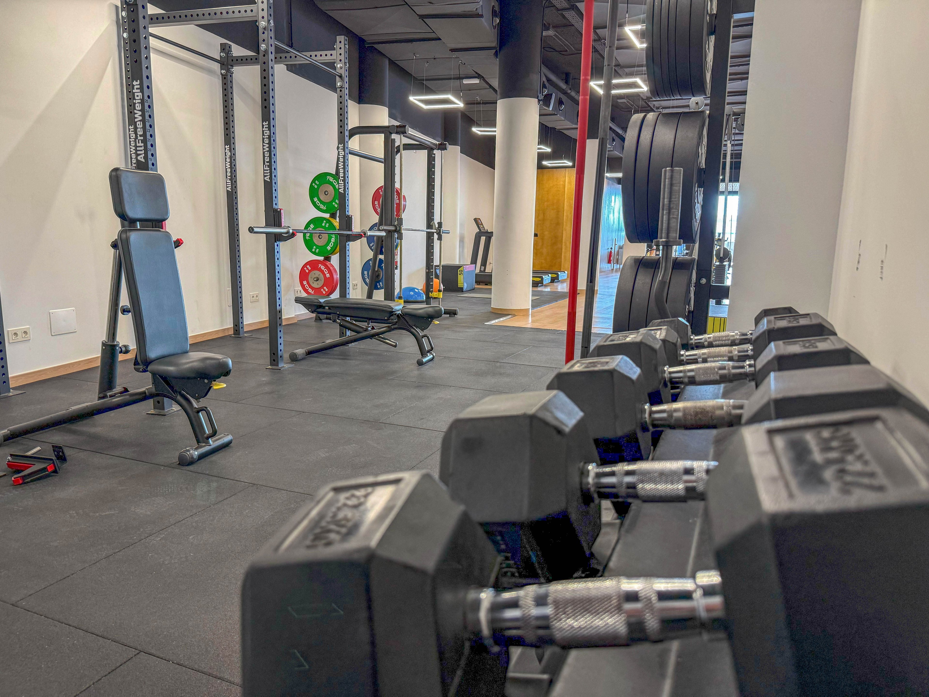 A well-lit gym features a row of dumbbells in the foreground and adjustable benches in the background. The space includes a squat rack with colorful weight plates and a clean, minimalist design. The flooring is rubberized for safety, and the overall atmosphere is organized and professional. No people are present, highlighting the equipment and open workout area.