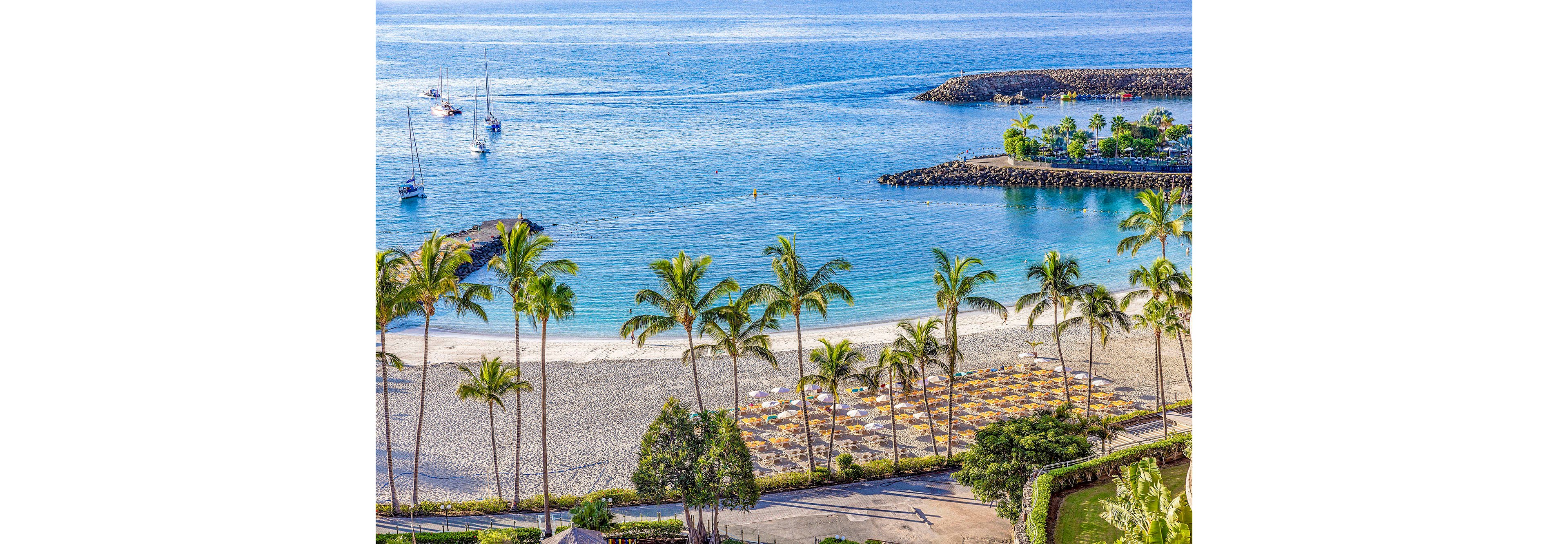A serene tropical beach is lined with tall palm trees and rows of sun umbrellas on golden sand. The clear blue ocean is calm, with several sailboats anchored offshore and a stone jetty enclosing the bay. The setting is bright and inviting, evoking a relaxed vacation mood under sunny skies.