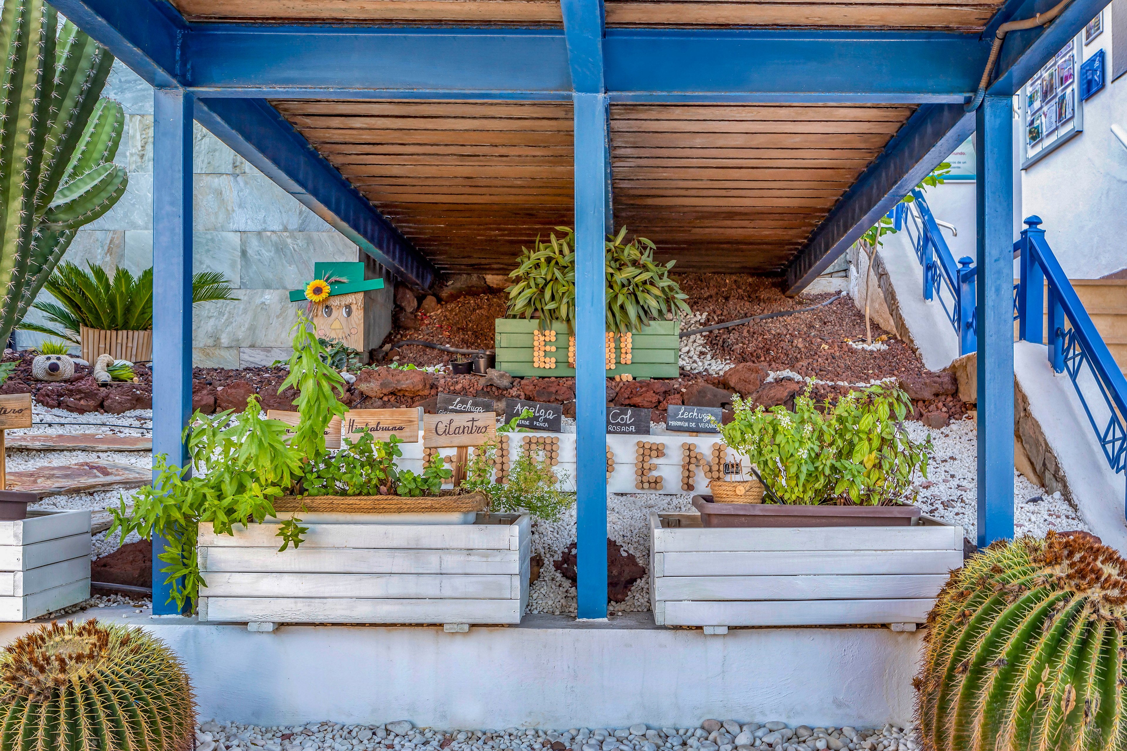 A small terraced garden is arranged beneath a blue wooden structure, featuring various potted herbs and plants. White planter boxes in the foreground hold green leafy herbs, while cacti and succulents are planted in the rocky ground around them. Additional plants and labeled wooden signs are displayed on the raised soil bed under the structure. Blue railings and steps frame the scene, suggesting an outdoor courtyard or patio setting. The overall atmosphere is bright and Mediterranean, with a mix of natural textures and vivid colors.