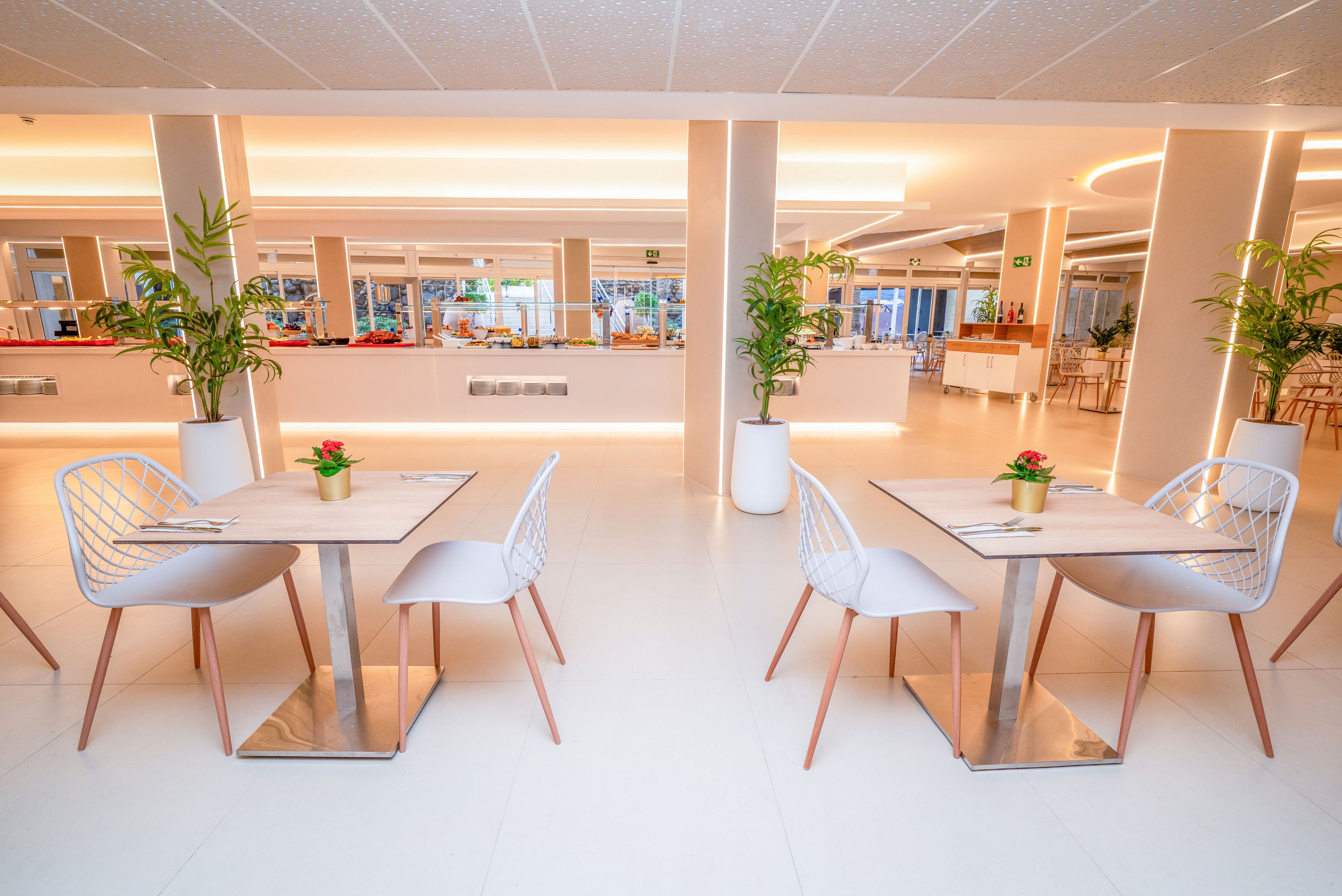 Contemporary restaurant dining area with neatly arranged tables and chairs is shown in a bright, spacious setting. Two small square tables with minimalist white chairs stand in the foreground, each decorated with a small potted plant. The background reveals a long counter area, warm ceiling lighting, and large windows. Tall green plants in white pots add a fresh, natural touch to the clean, modern design.