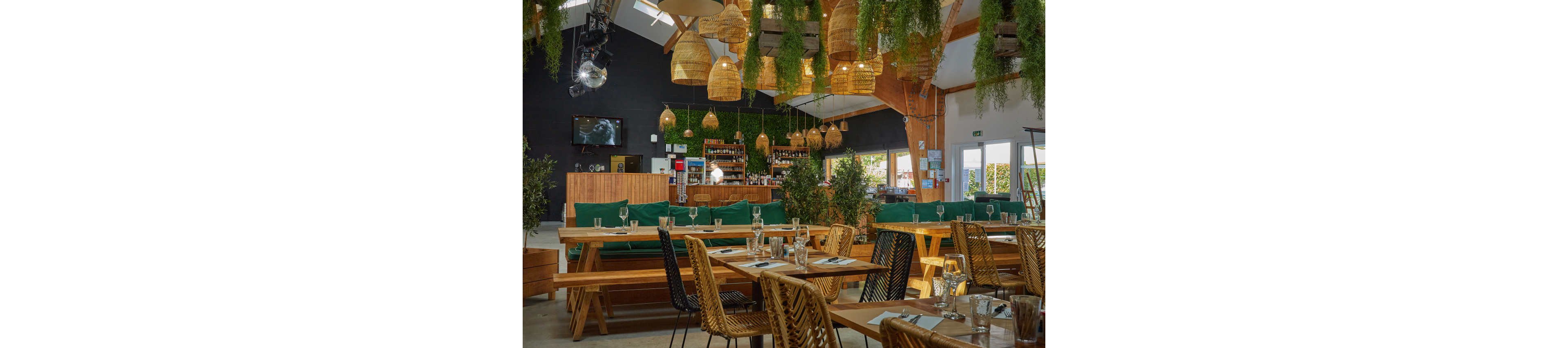 A contemporary restaurant interior features long wooden tables and woven chairs arranged in a spacious dining area. Green cushioned bench seating lines the back wall, facing a well-stocked bar with bottles and glassware. Hanging wicker lamps and cascading greenery from the ceiling create a warm, natural atmosphere. Sunlight streams through large windows and glass doors, highlighting the relaxed, modern design of the space.