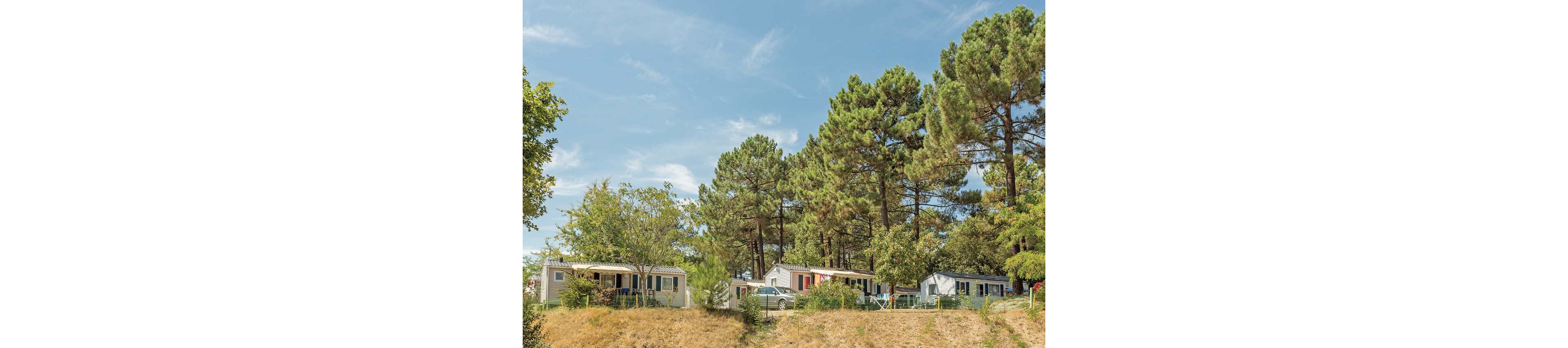 A row of mobile homes is set on a gentle hillside surrounded by tall pine trees. The homes feature light-colored exteriors with colorful shutters and small terraces. A car is parked near one of the units, suggesting a holiday or vacation setting. The scene is bright and sunny under a clear blue sky, creating a relaxed and peaceful atmosphere.