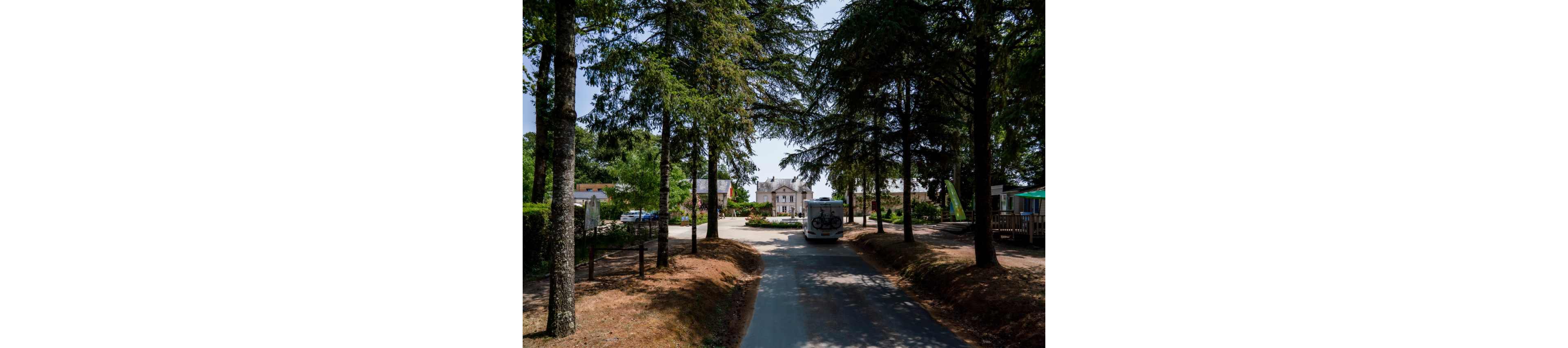 A white campervan drives along a narrow paved road toward a small building at the entrance of a campsite or rural property. Tall evergreen trees line both sides of the road, casting shade over the scene. The surrounding area includes low buildings, hedges, and a few colorful flags or banners, suggesting a holiday park or campground. The overall atmosphere is calm and summery, with dappled sunlight filtering through the trees.