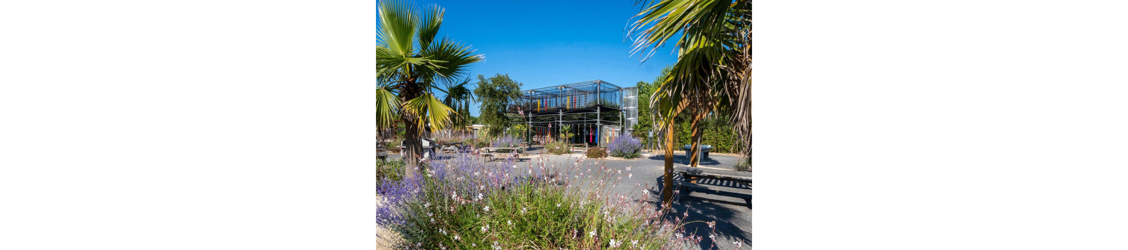 An outdoor leisure space features a modern metal structure with colorful vertical elements in the background. The foreground is filled with flowering shrubs and ornamental grasses, creating a lush garden feel. Palm trees frame the scene, while wooden benches and picnic tables are scattered across the gravel surface. The bright blue sky and strong sunlight give the setting a warm, summery atmosphere.
