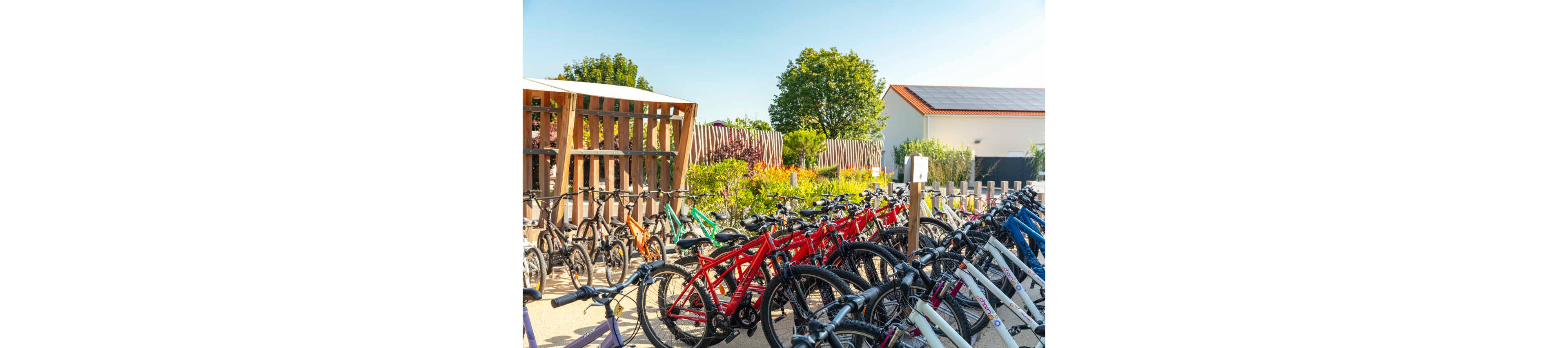A large group of bicycles is neatly parked in an outdoor bike lot. The bikes are arranged in rows, featuring various colors such as red, blue, white, and black. The setting appears to be a sunny day in a landscaped area with trees, shrubs, and a wooden shelter. A building with a tiled roof and a fence in the background complete the peaceful suburban scene.